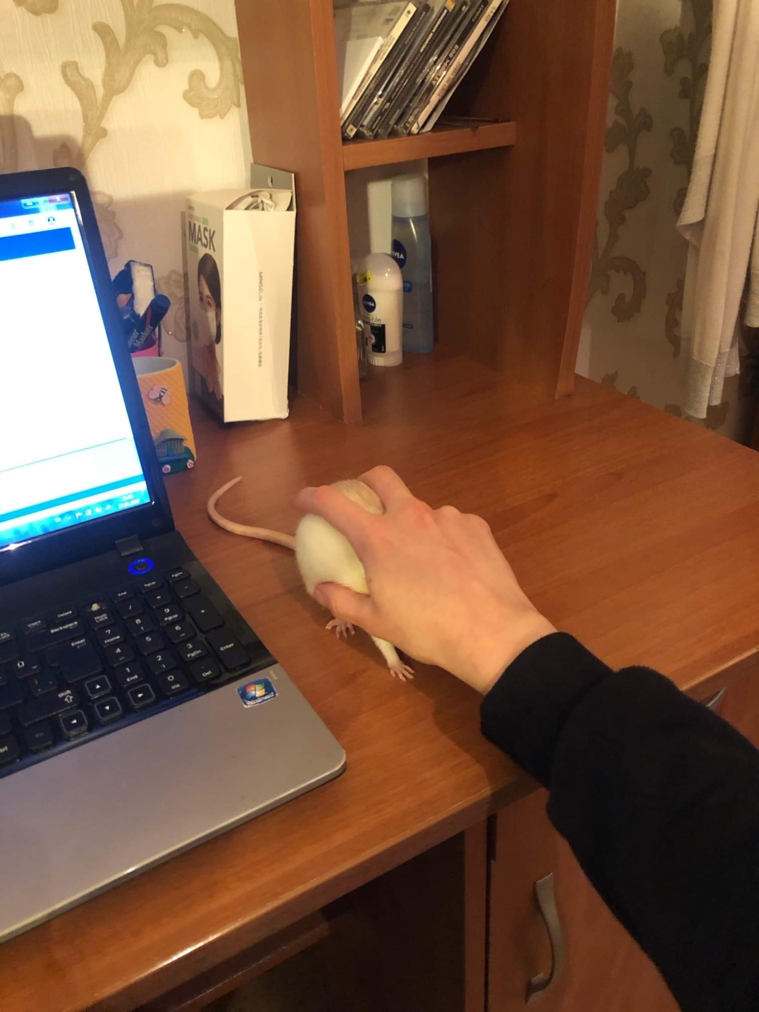 This new wireless mouse doesn't work too well. r/funny