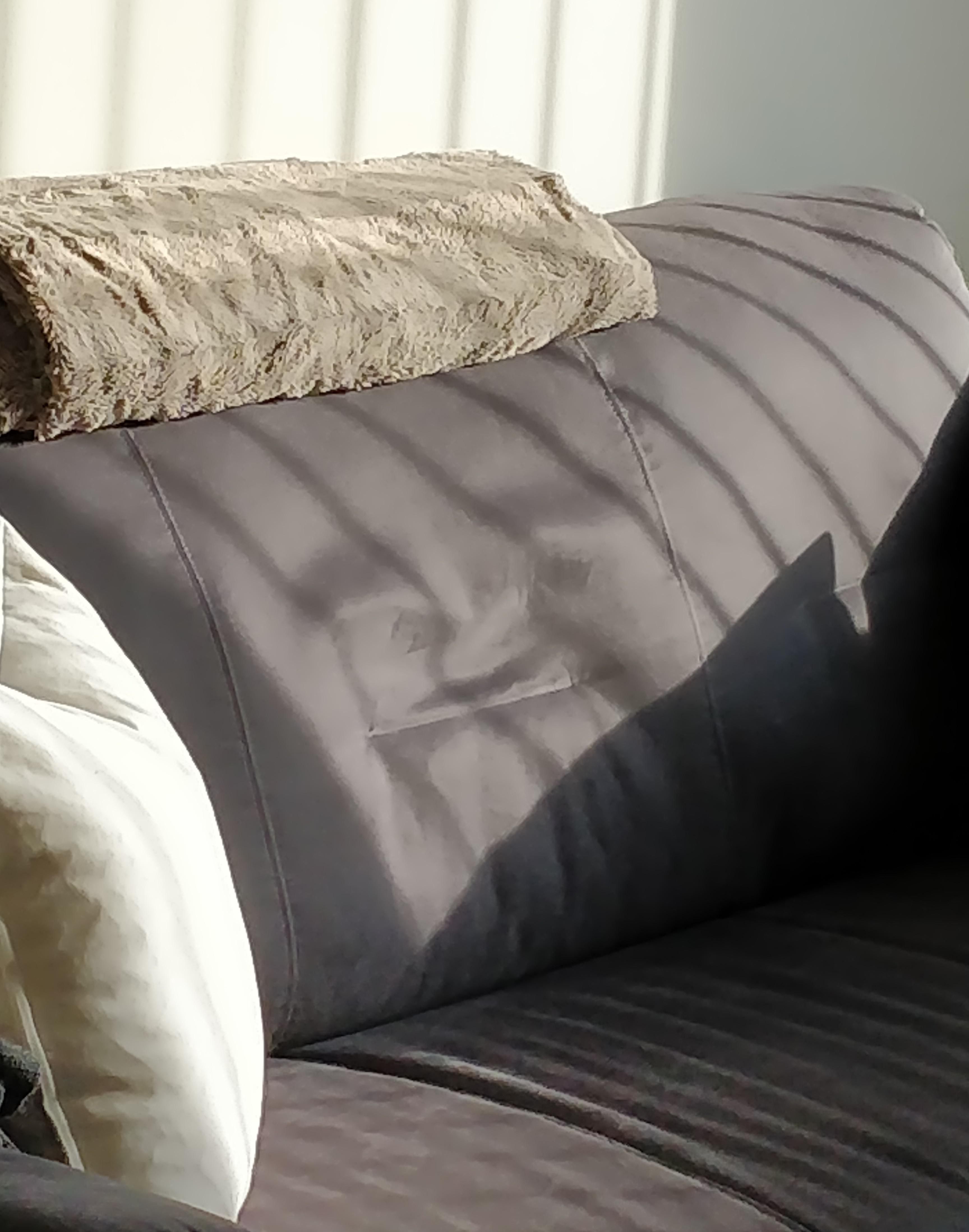 10 minutes into Netflix and chill and your couch gives you this look