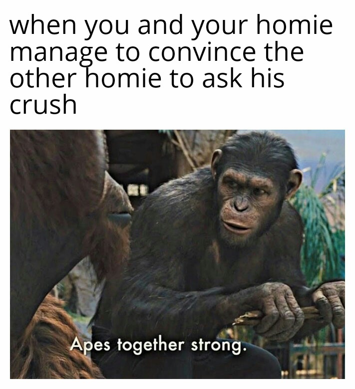 Apes together strong memes