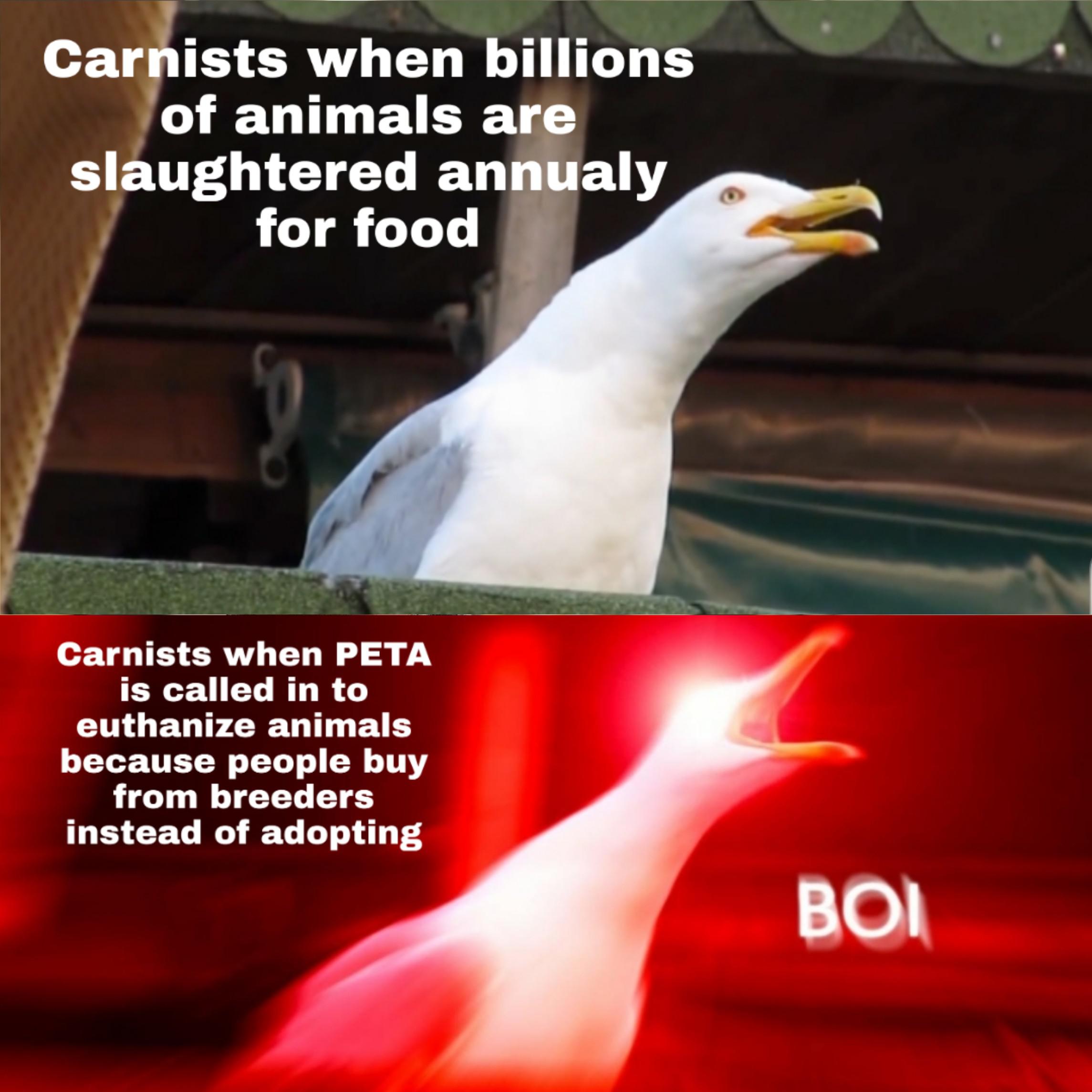 Meat eater logic r/vegan