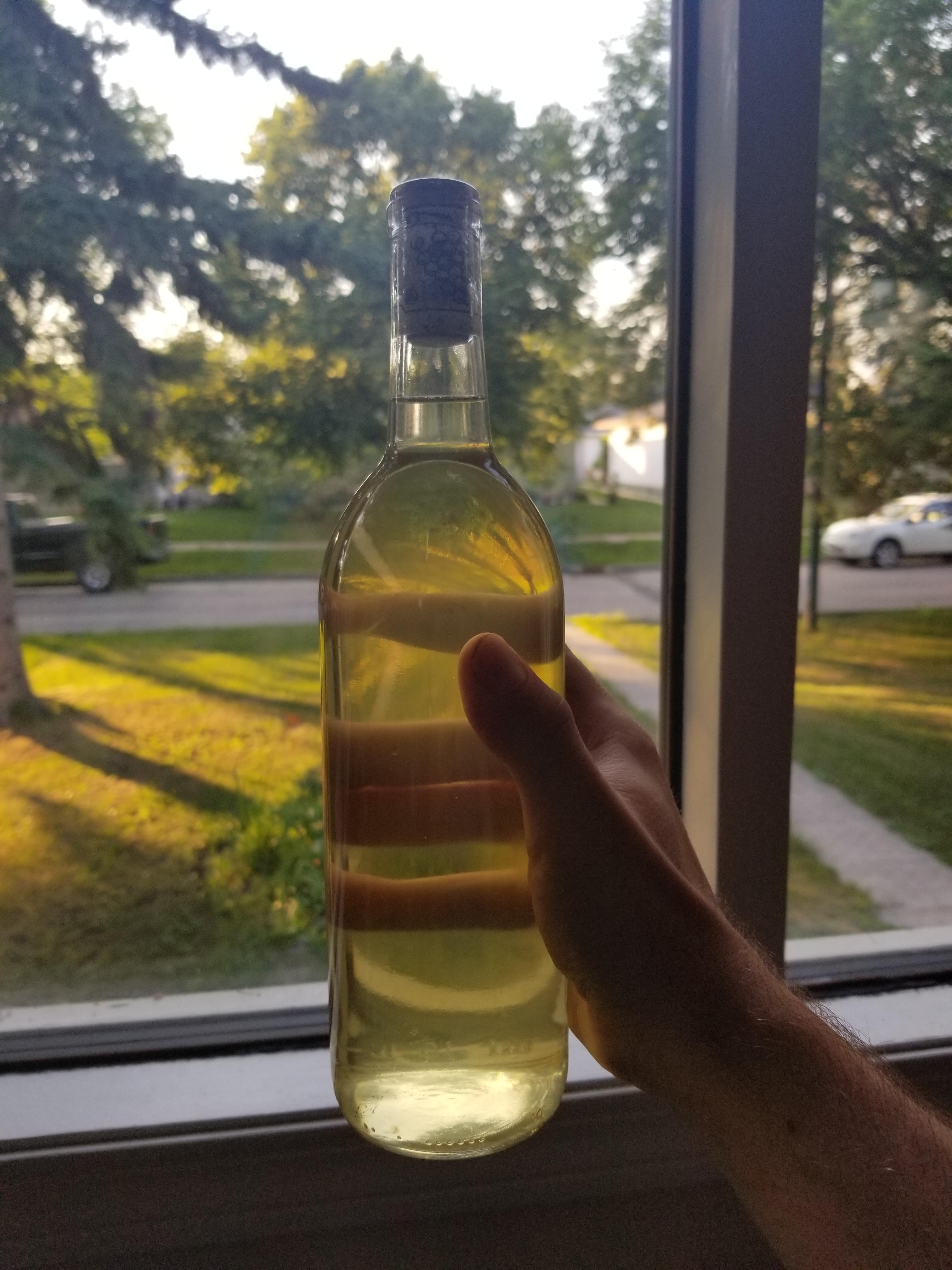 Bottled a Sunflower Honey Traditional r/mead