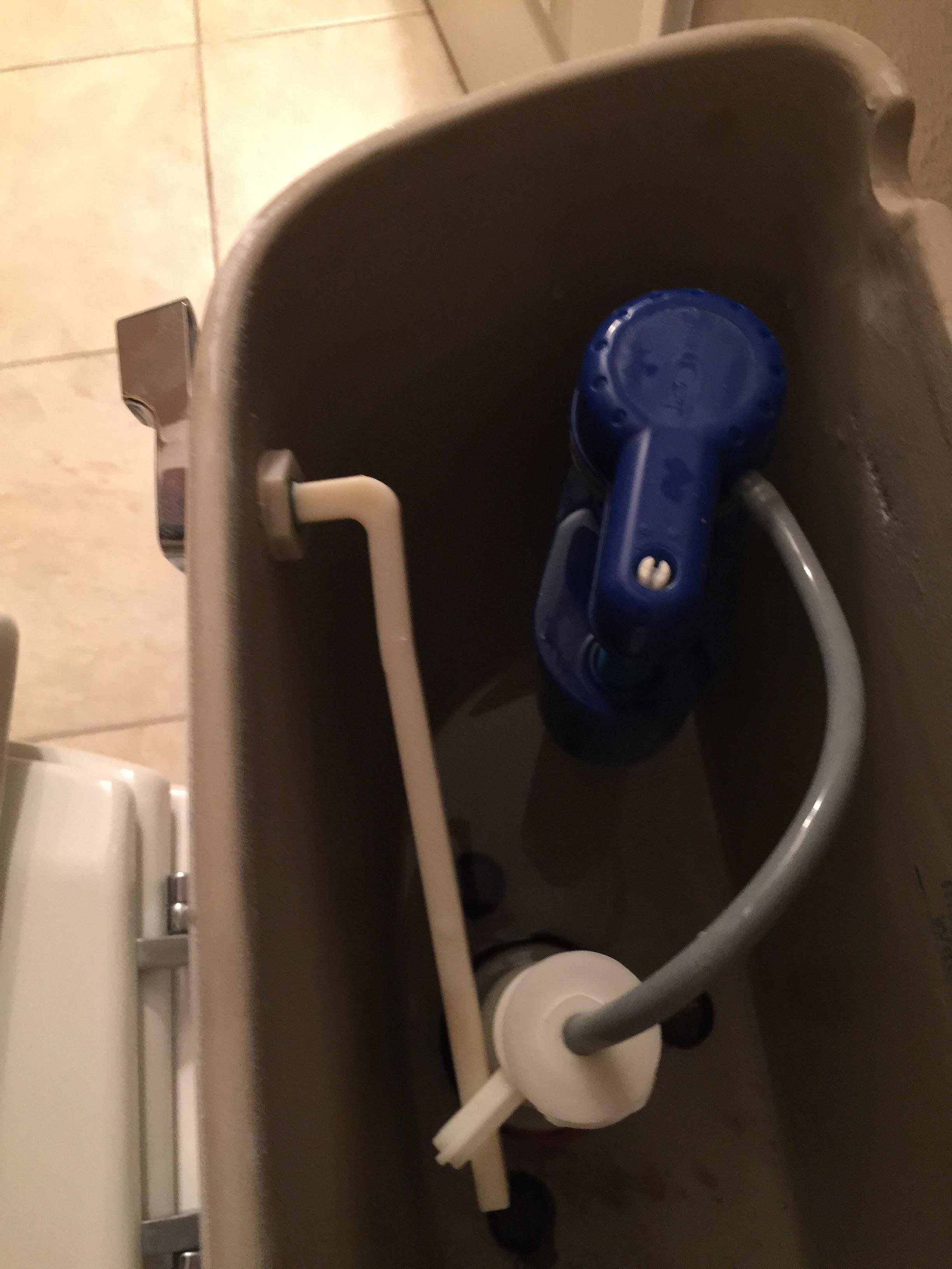 I hear a very loud grinding/hissing noise coming from this blue thing