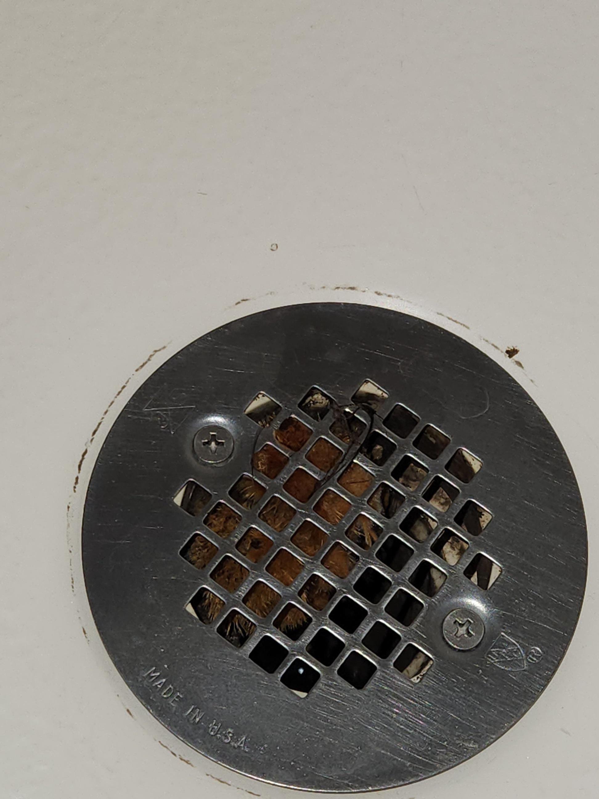 Found in my shower drain. Mold? Animal? r/Whatisthis