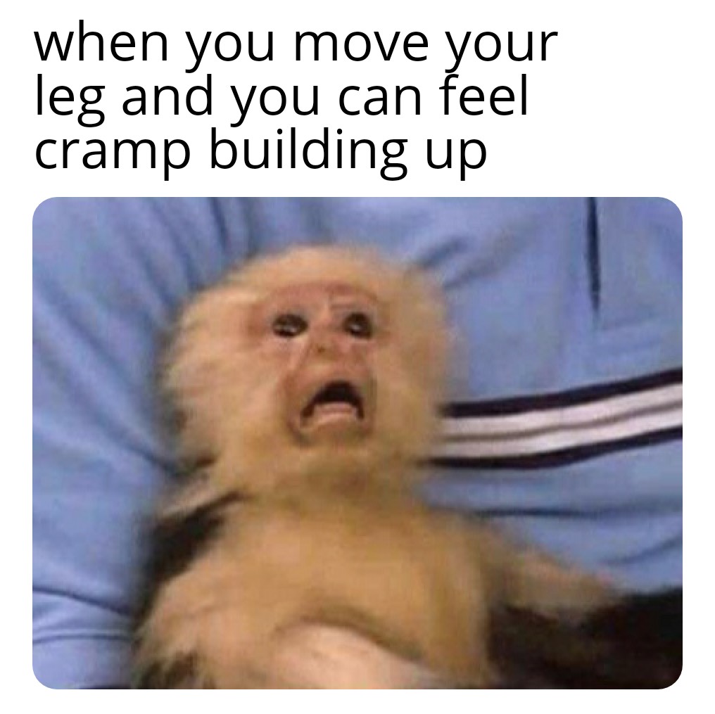 Please don't hurt me memes