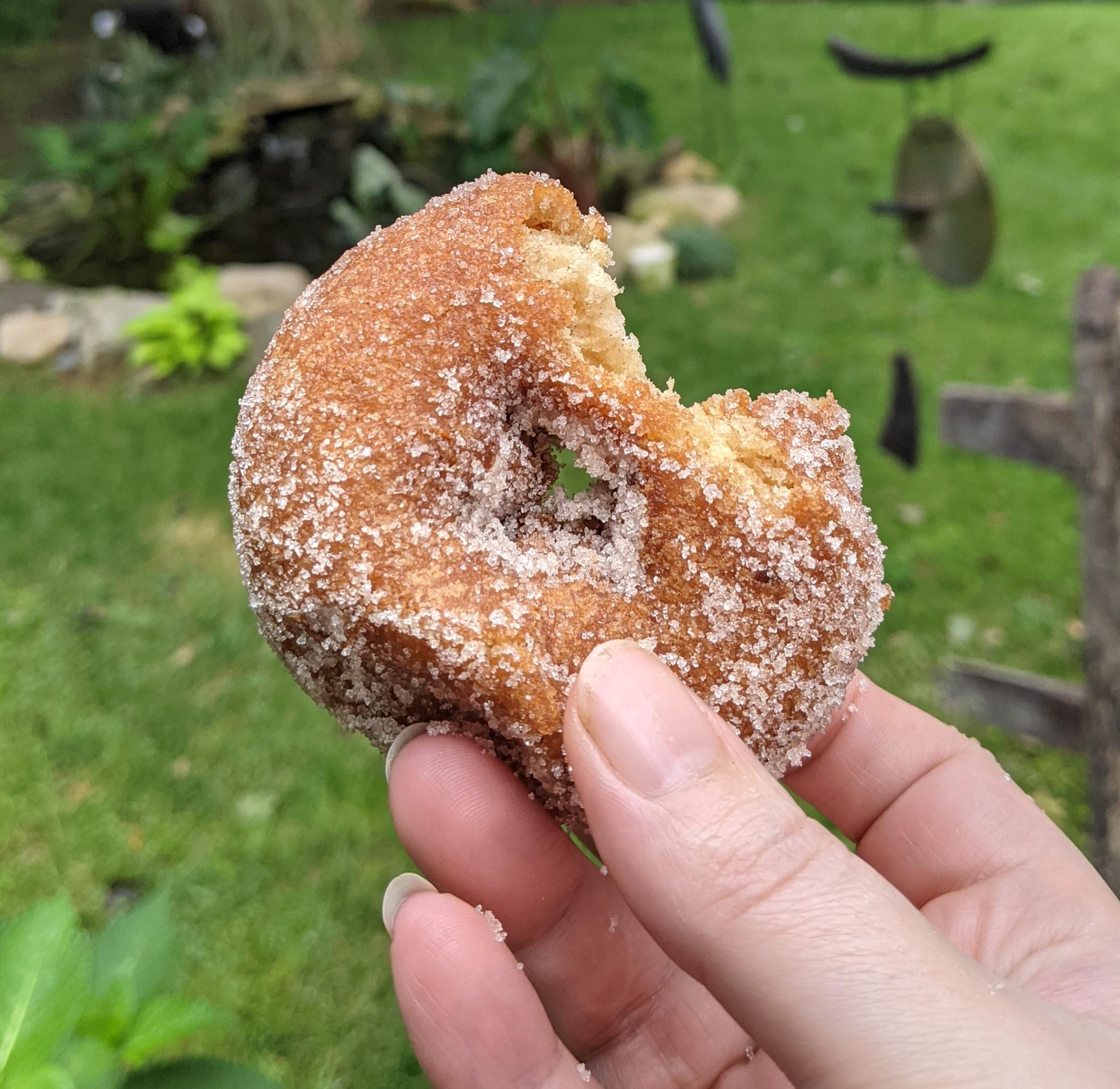 Lapsley Orchard in Pomphret, CT started their cider donut season this