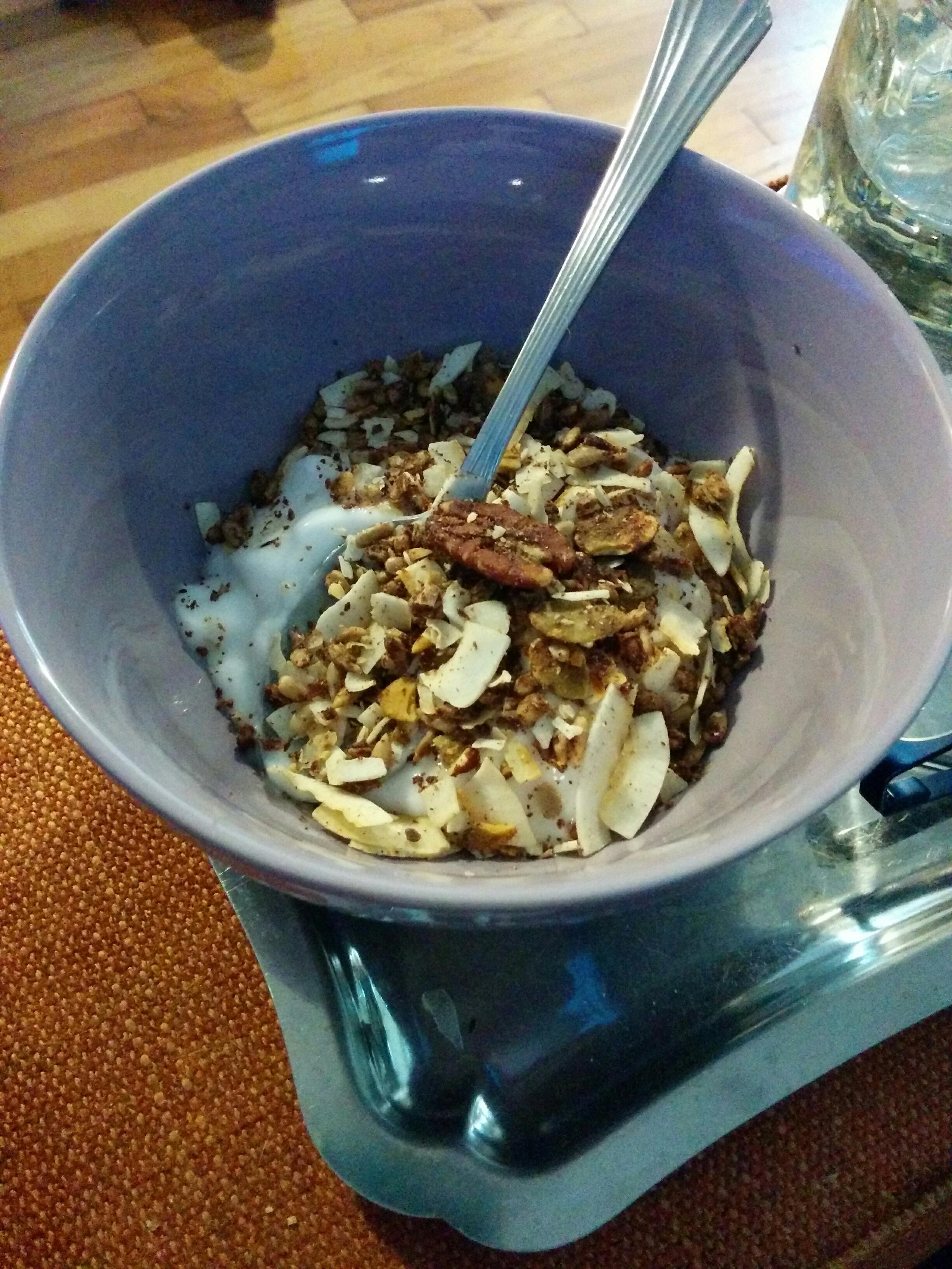 Vegan yogurt and low carb granola ). Silk coconut yogurt with zero
