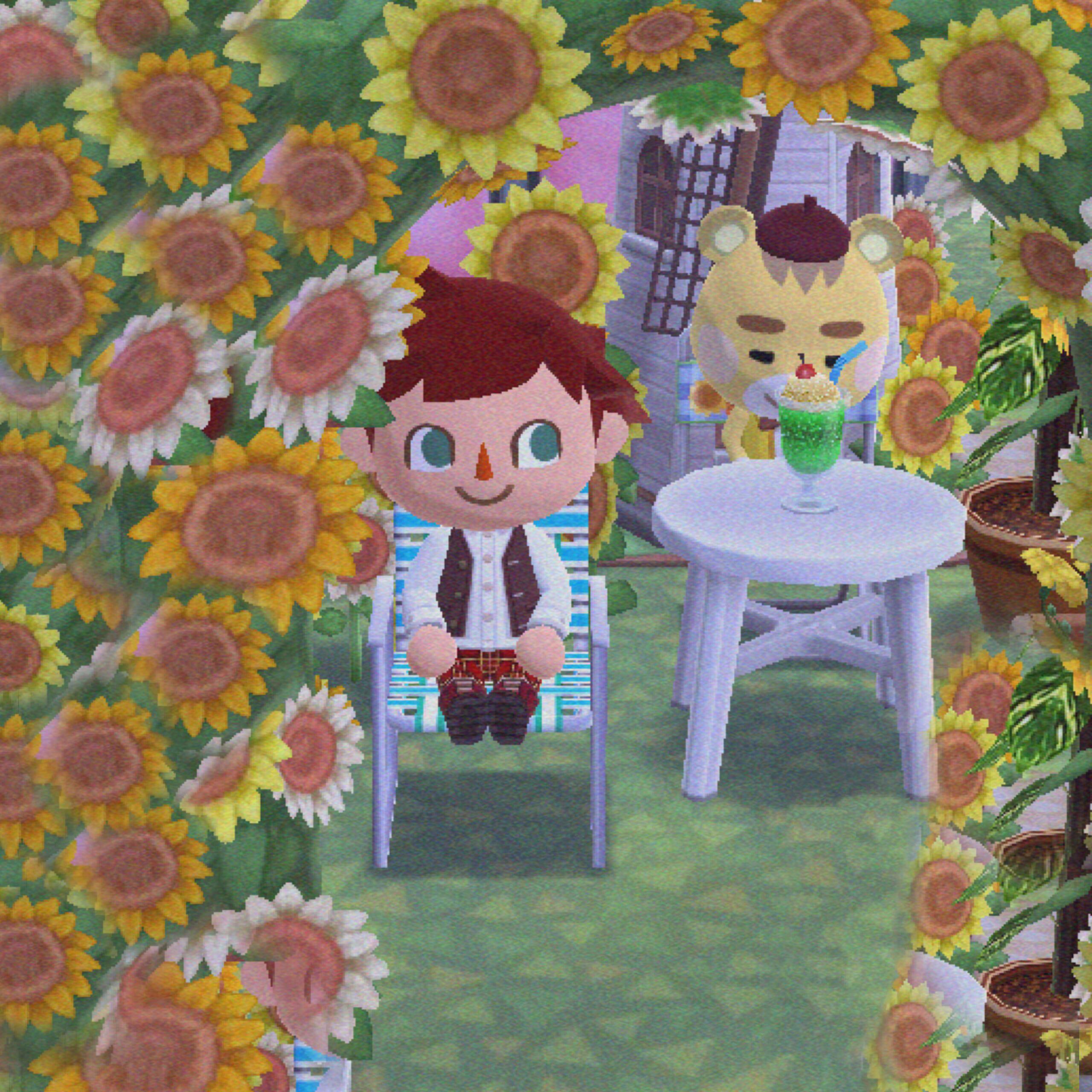 Sunflowers 🌻 r/AnimalCrossing