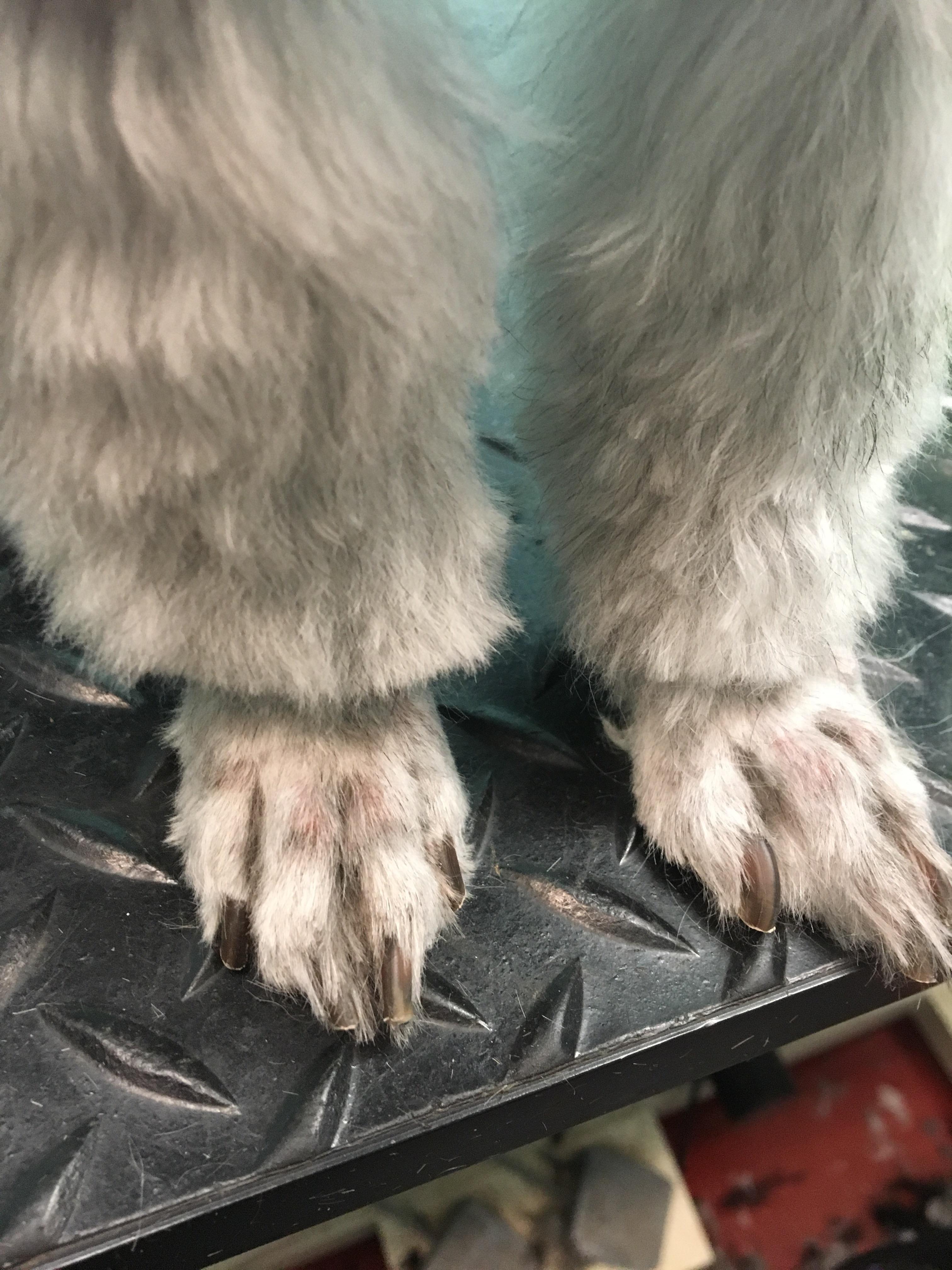 Did my very first clean feet today. Please give me tips, I was