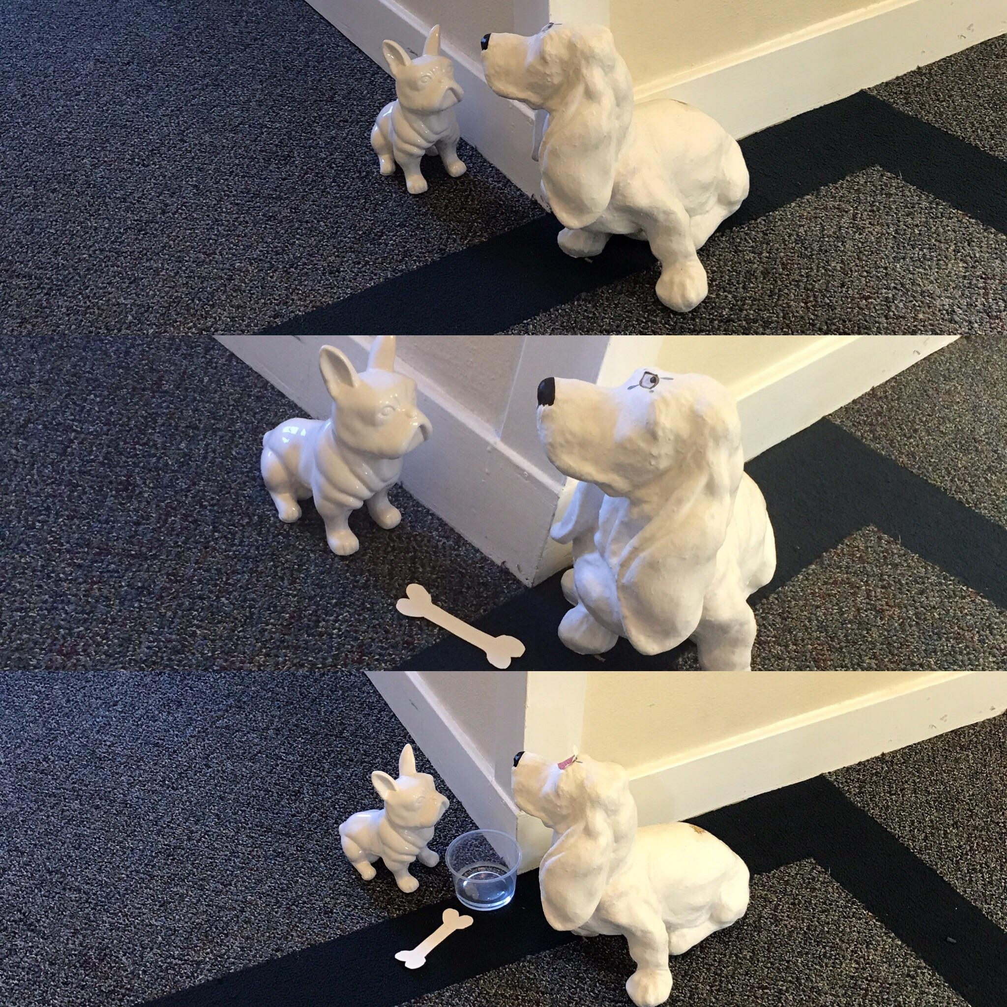 My apartment building doesn't allow pets. This scene has evolved over