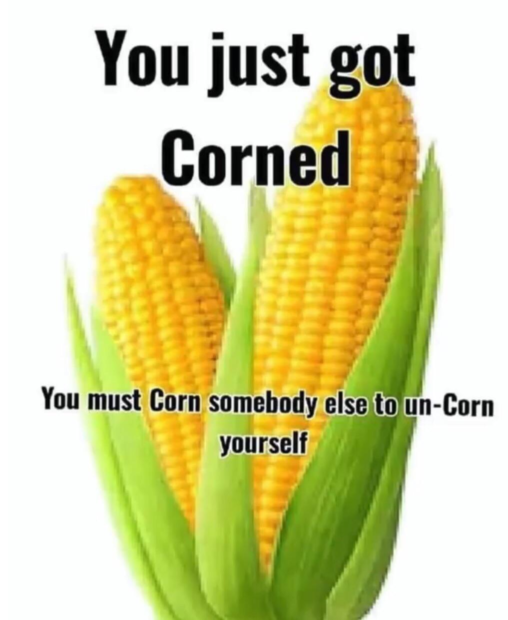 You just got corned r/MiniLadd