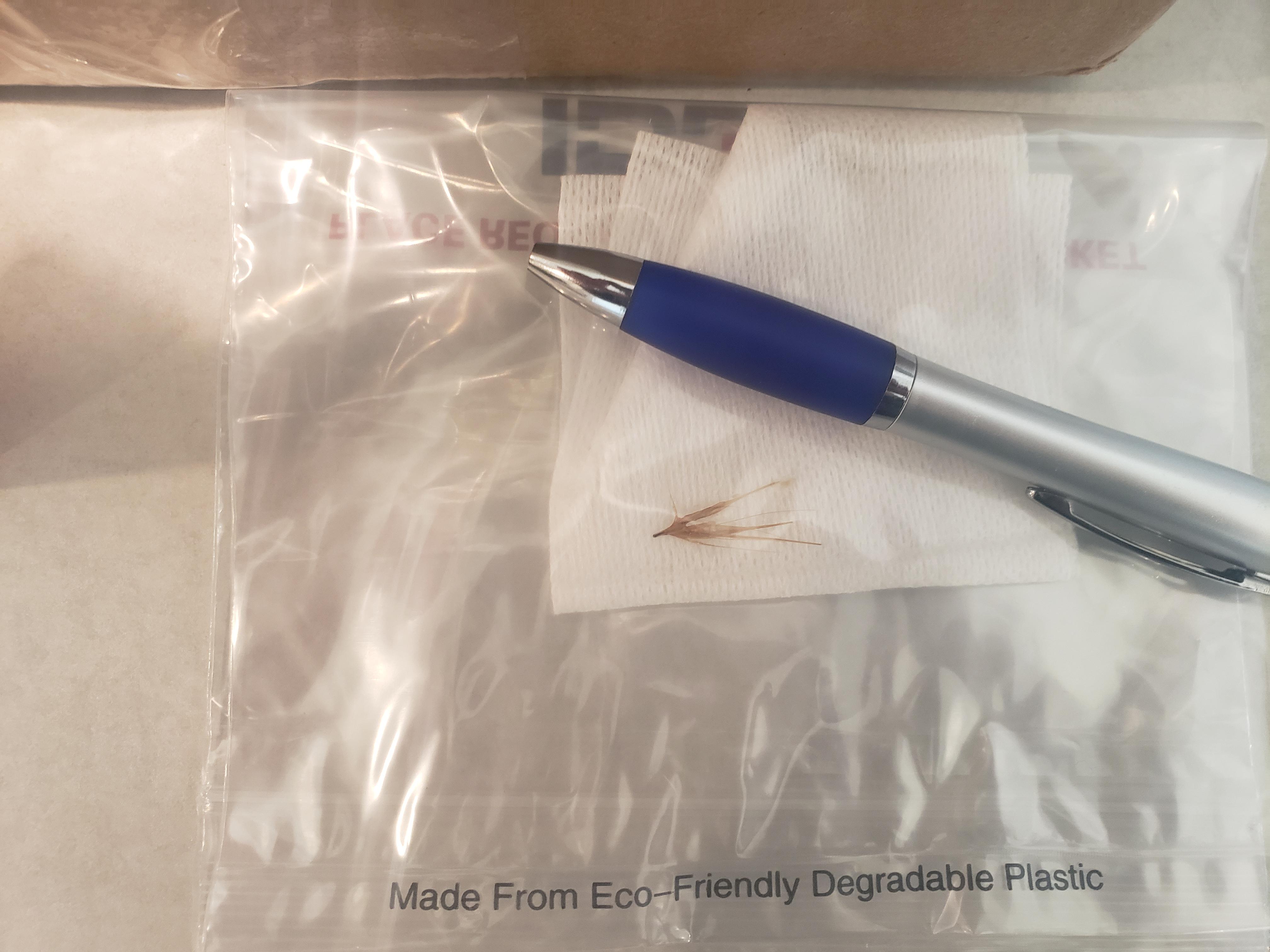 "My dog is shaking his head so much he's falling over." r/Veterinary