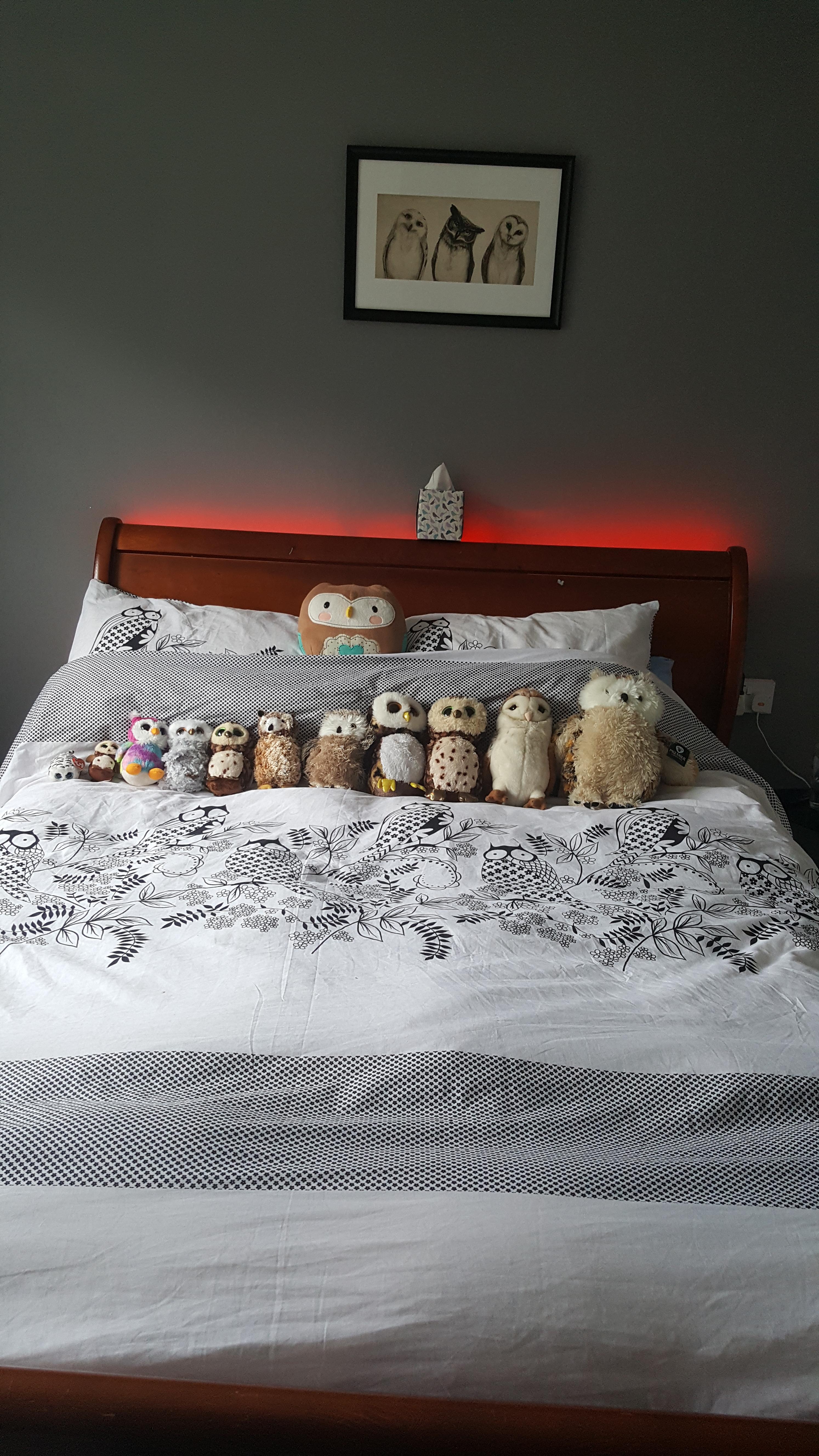 My cosy owl bed! =) r/Owls