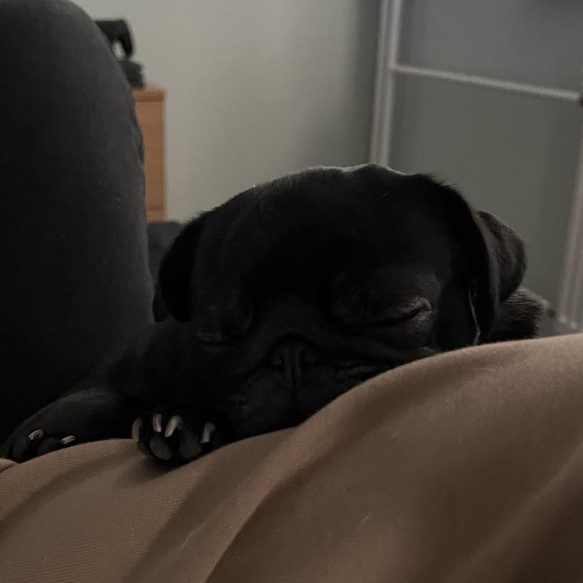 overview for Lyla-fit