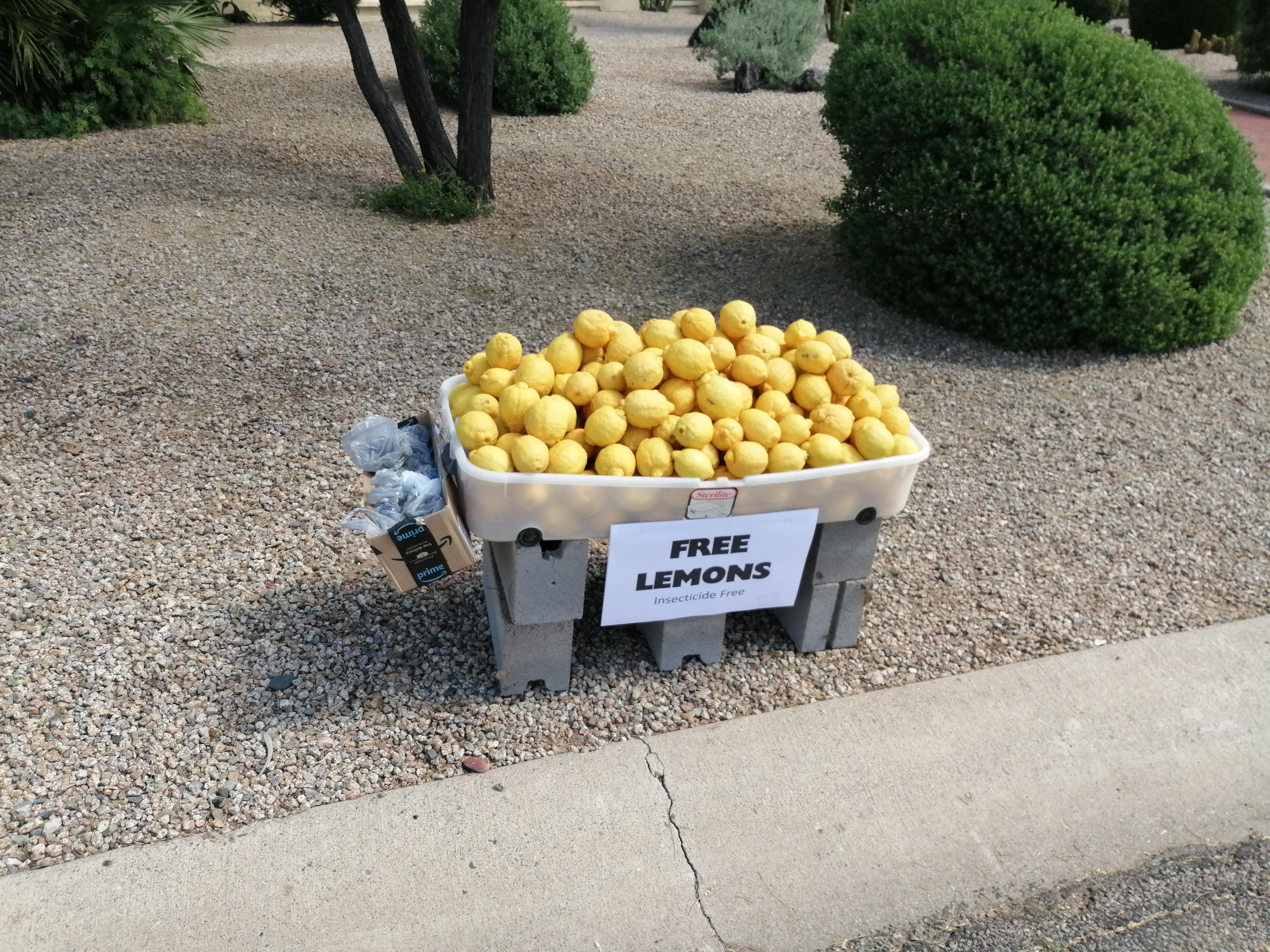 First harvest of lemons posted on Nextdoor went in less than three