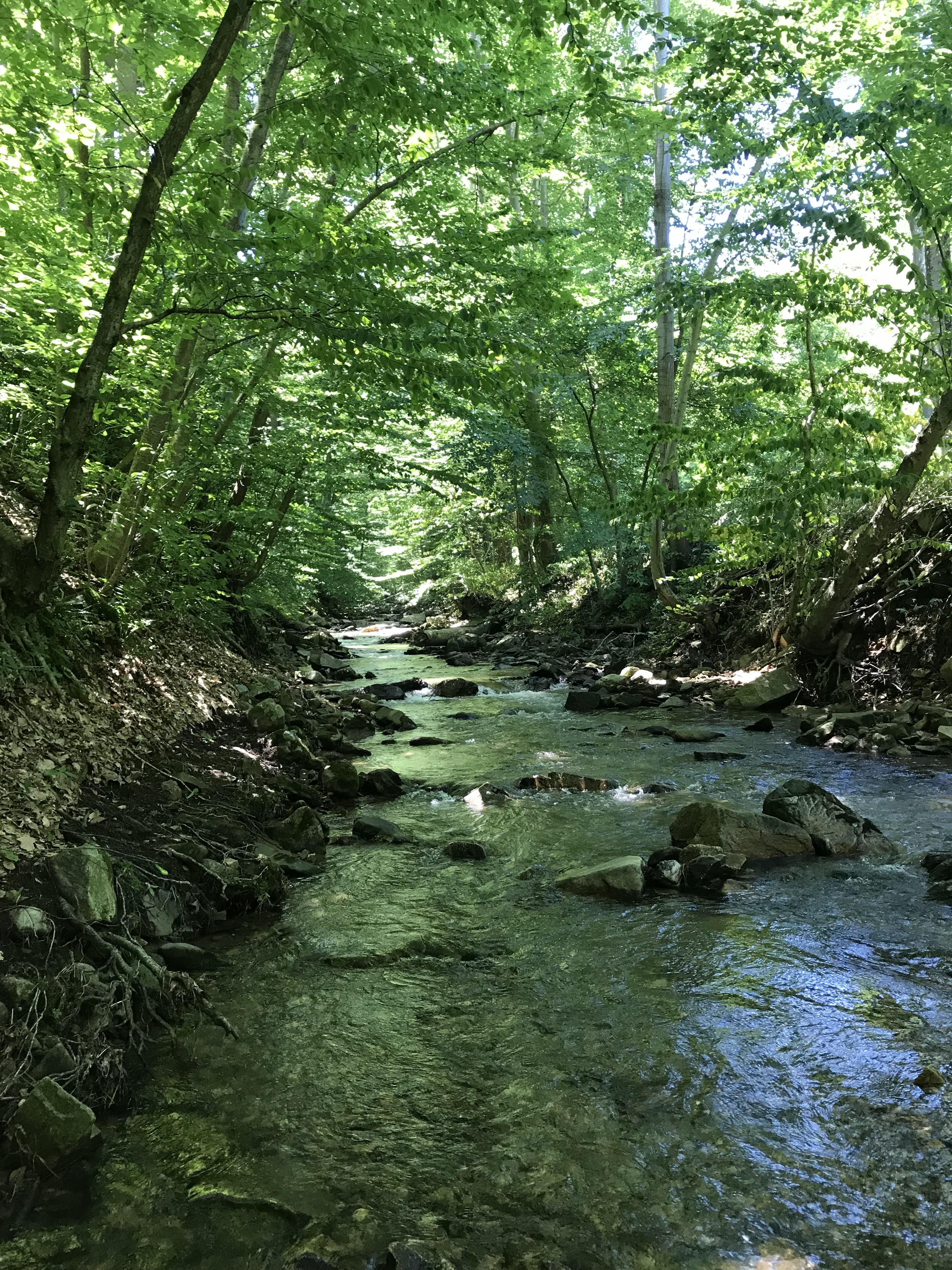 Walked up Furnace Creek in Pennsylvania with friends. r/hiking