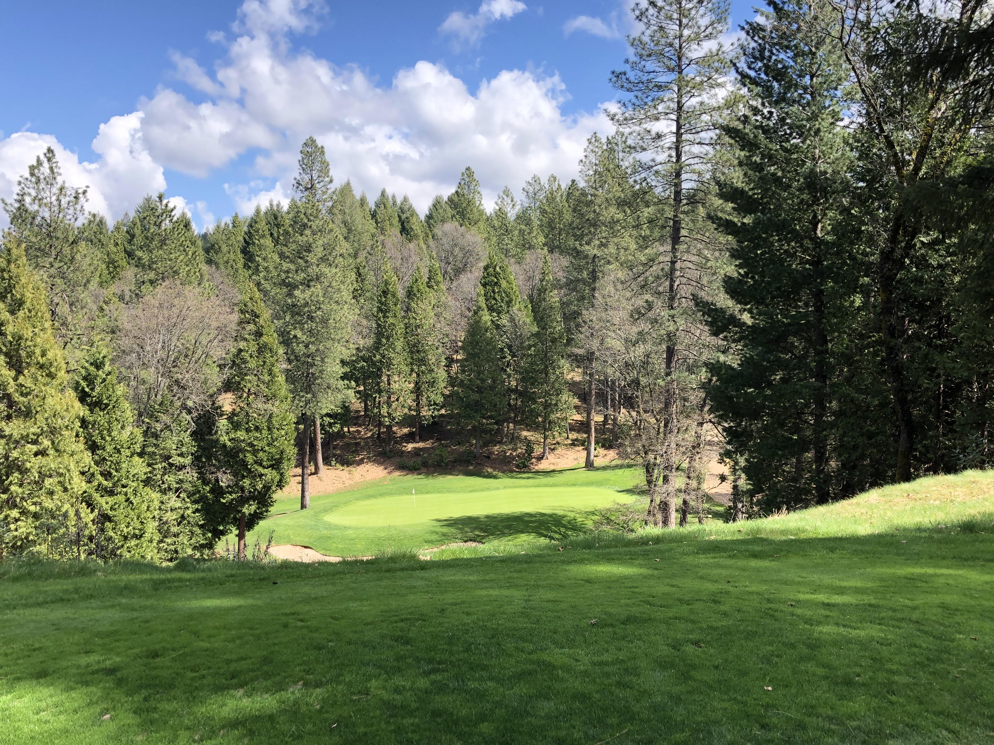 Apple Mountain/ Par 3 r/golf
