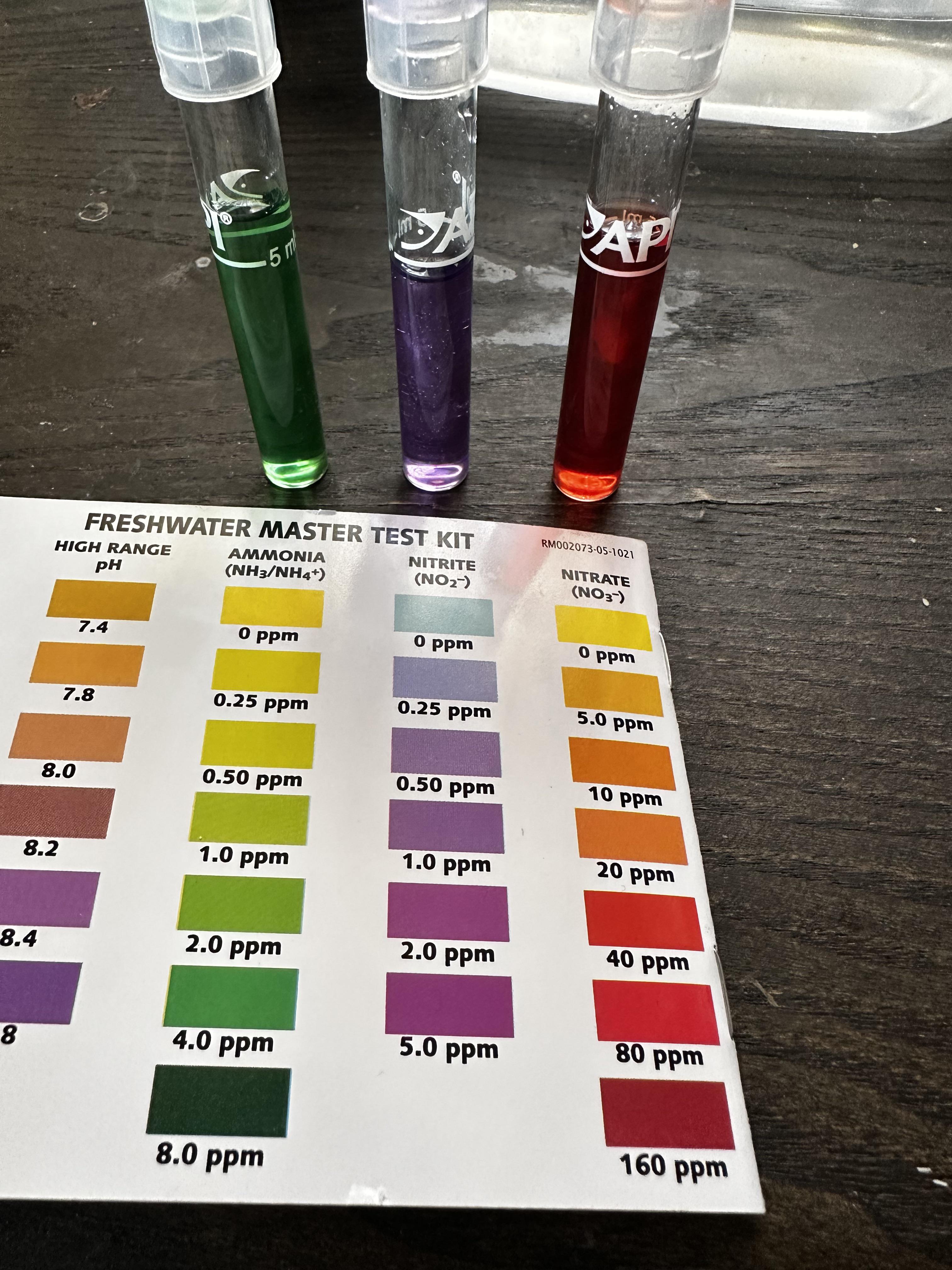 215 best Fishless images on Pholder Aquariums, Bettafish and Planted Tank