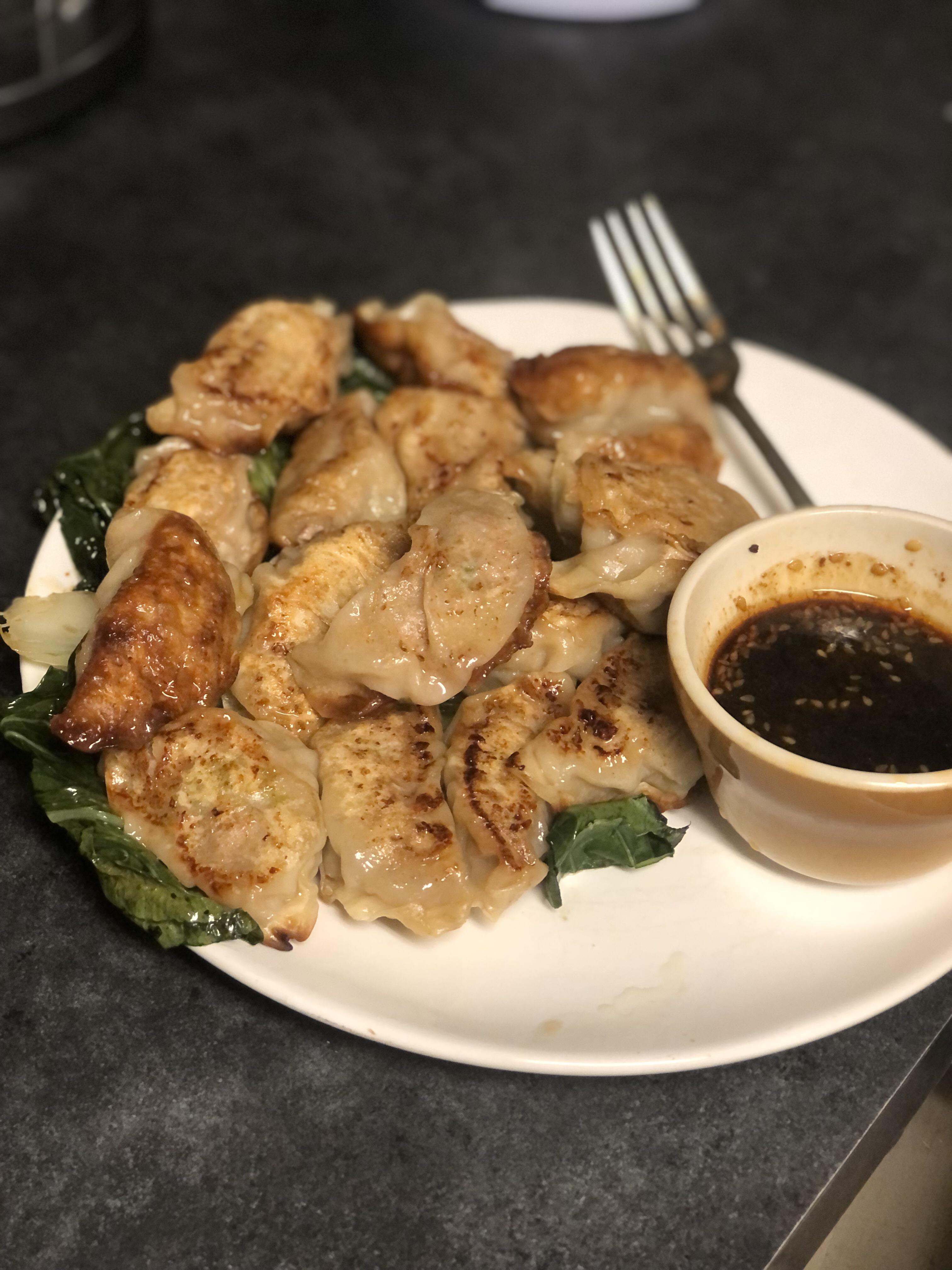 [HOMEMADE] Home ground pork, cabbage, leek and ginger potstickers. Pan