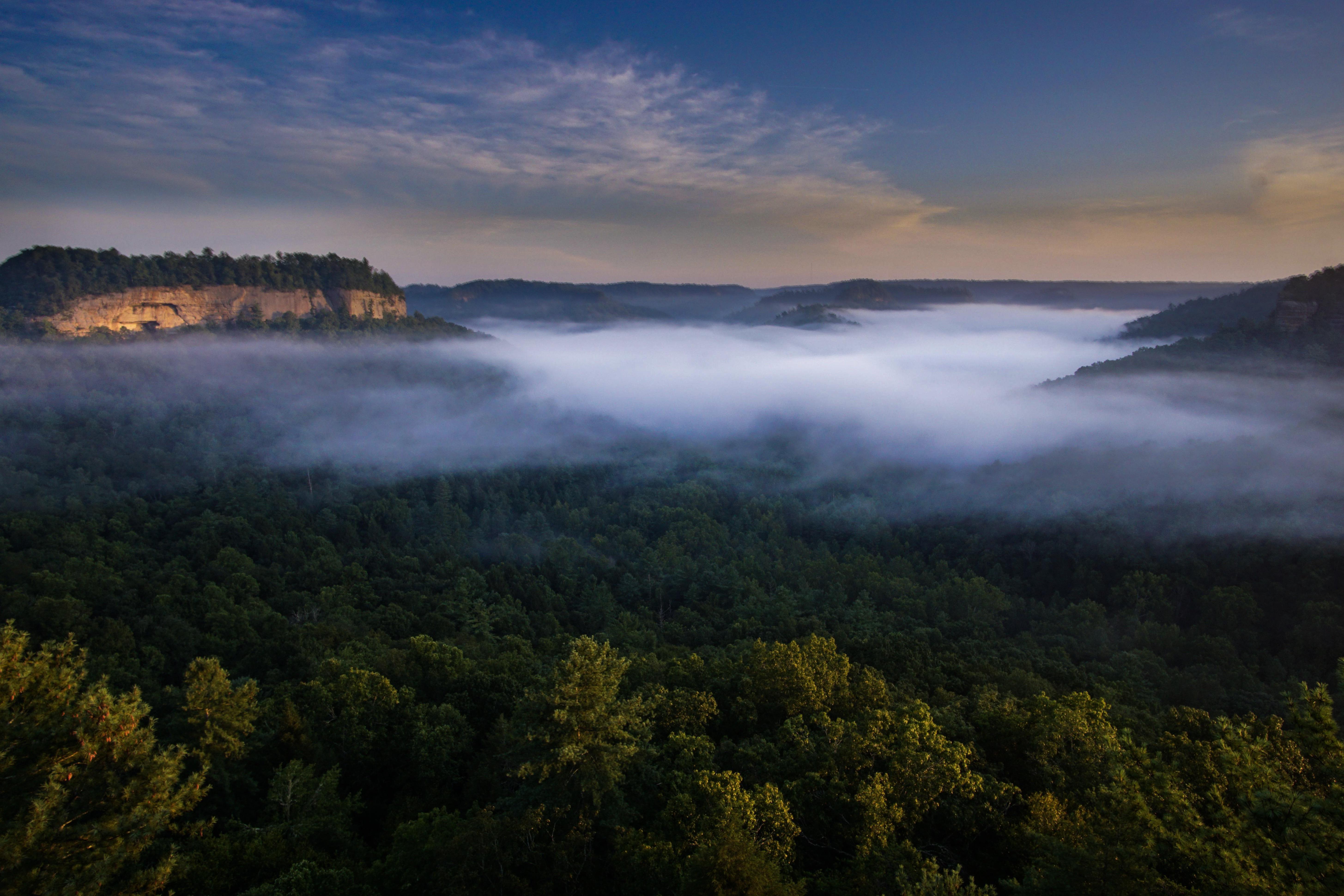 Foggy morning in Red River Slade, Kentucky r/hiking
