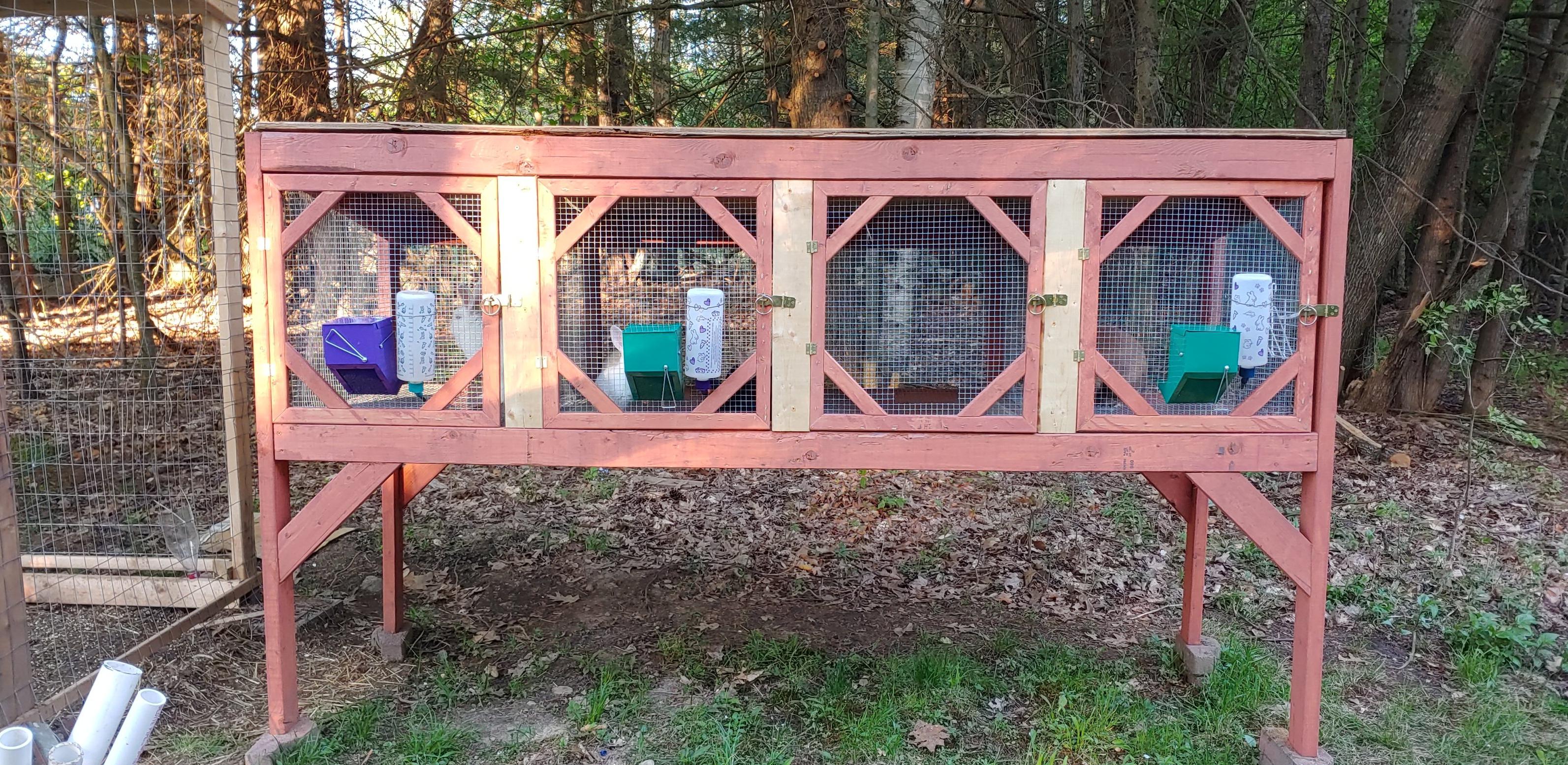 New hutch is finished and the rabbits are all moved in! The garage is