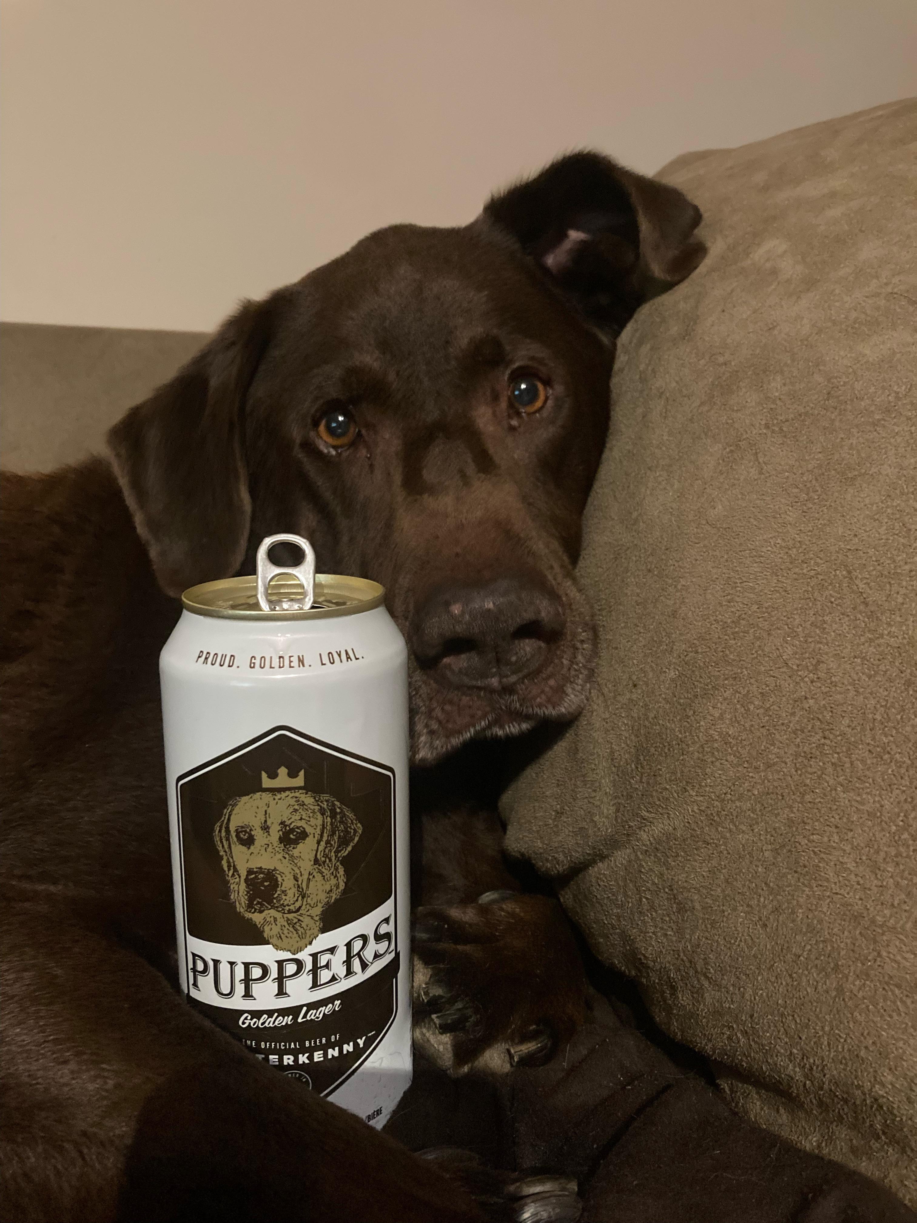 A pup with a Puppers r/Letterkenny