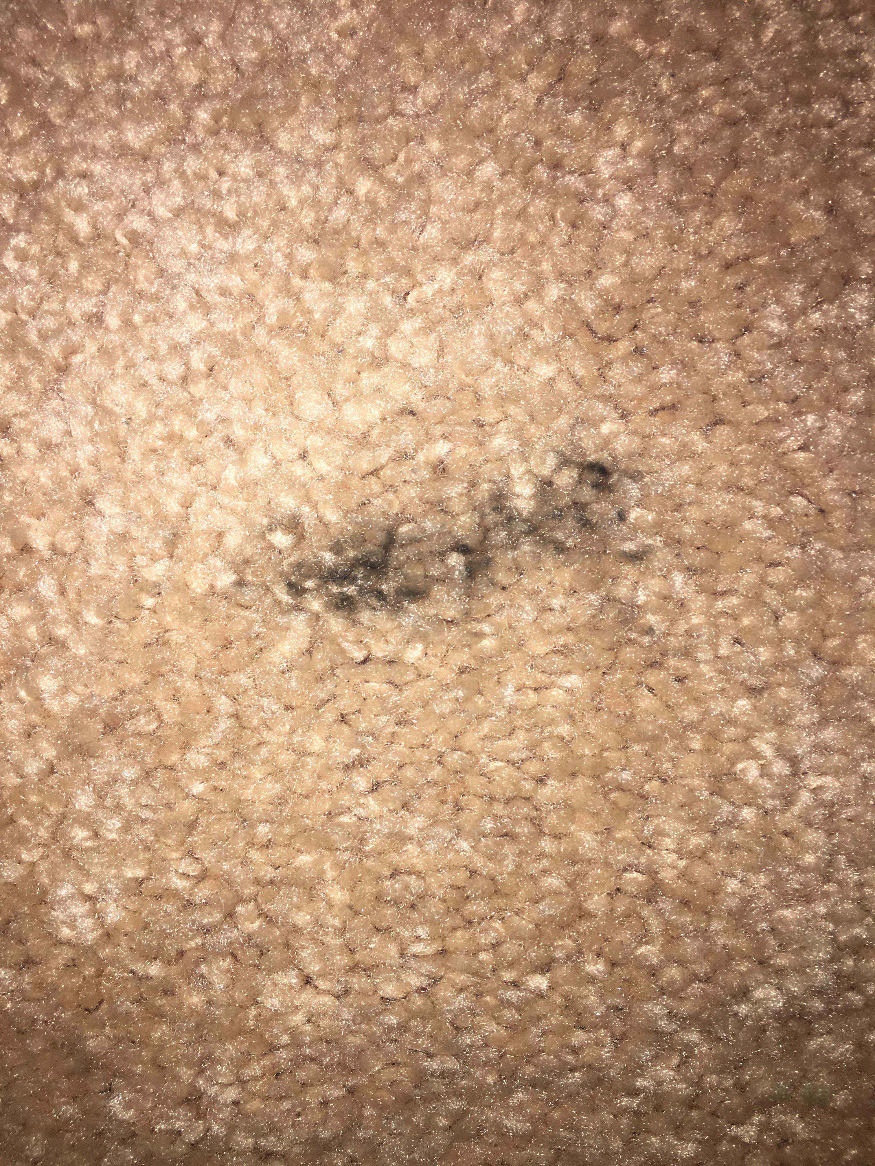 Help cleaning mysterious black marks on carpet? They’ve been showing up