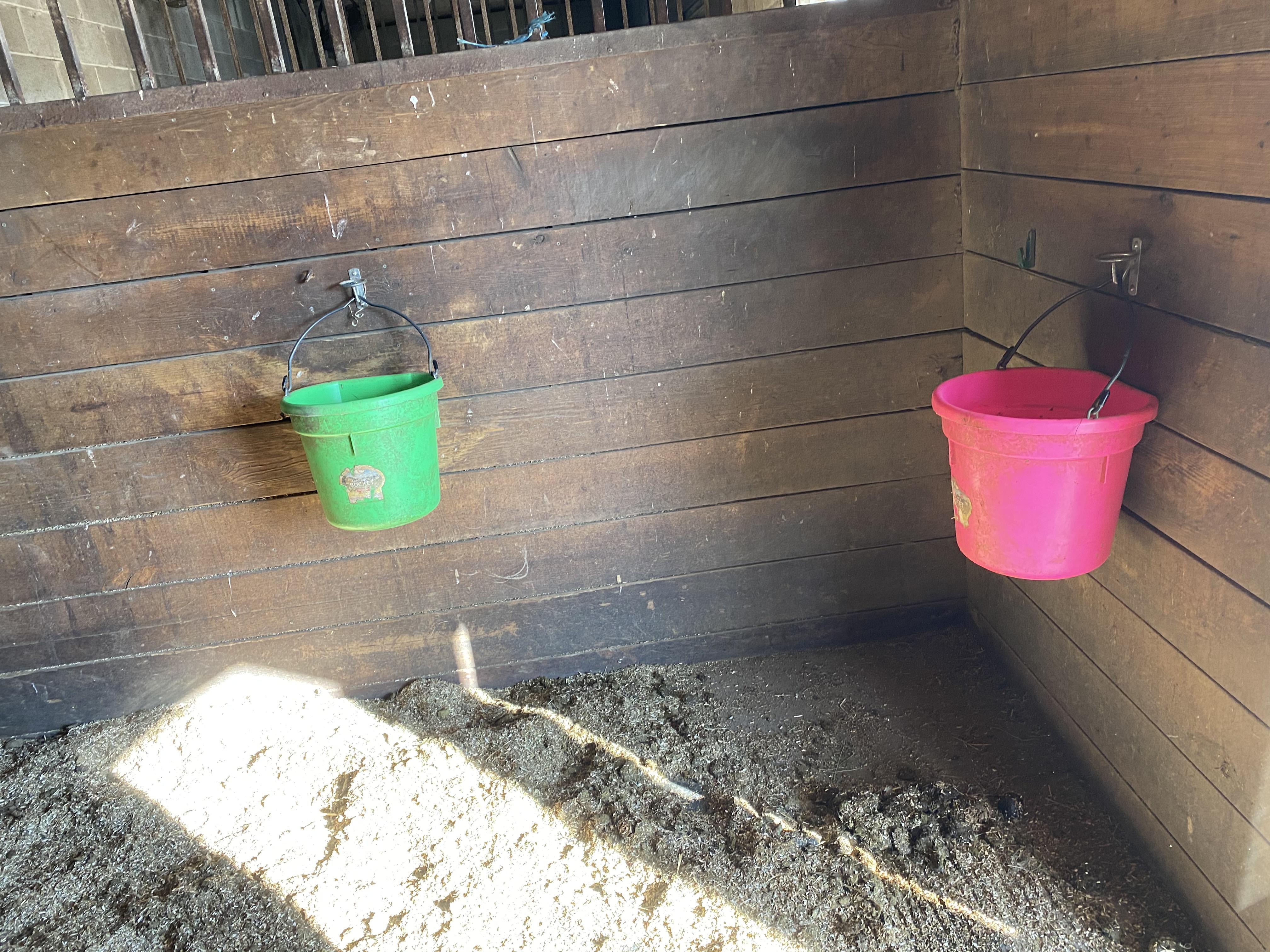 Trying to hide as a horse’s water buckets at my job r/cosmoandwanda