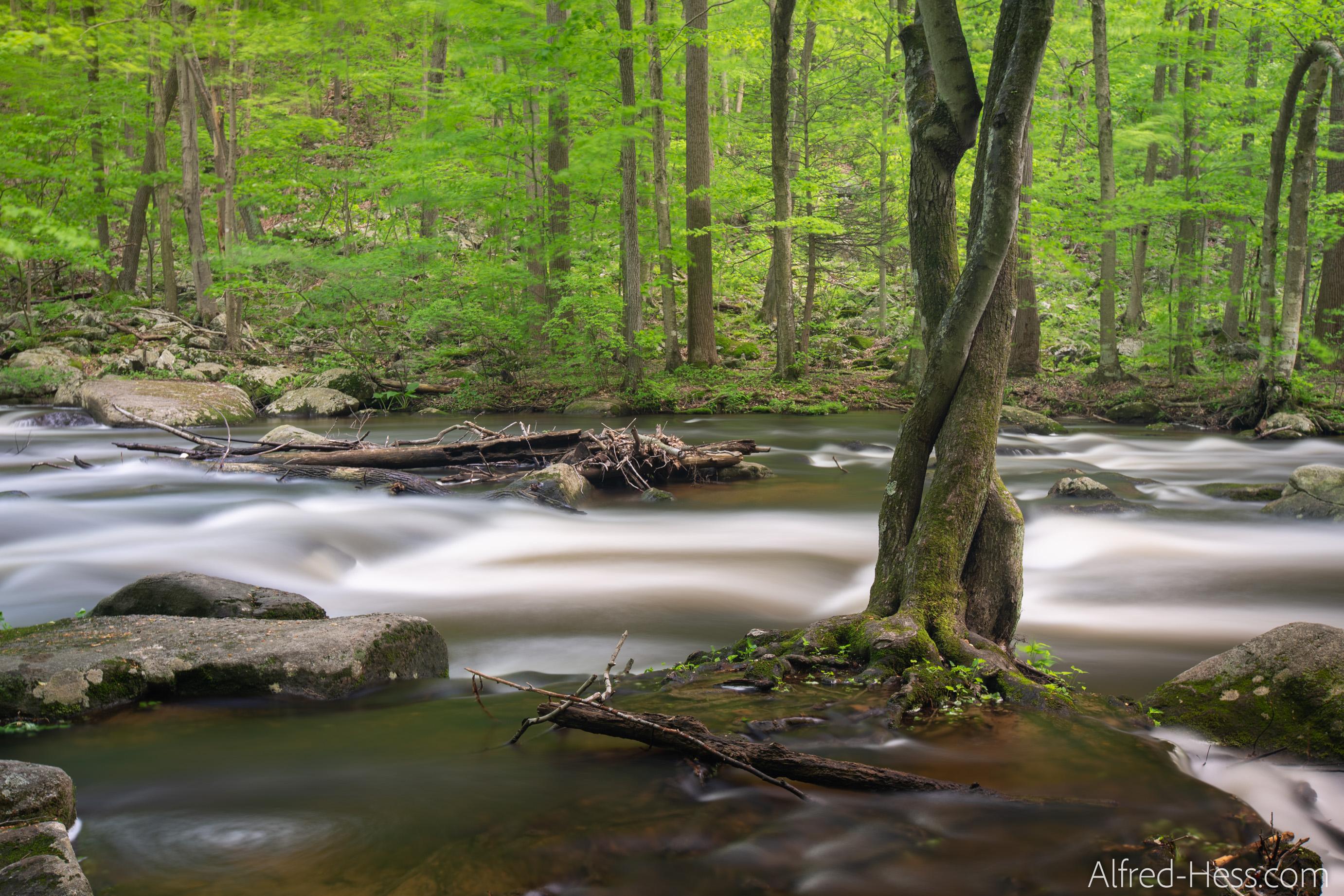 Hike Hacklebarney State Park (Long Valley, NJ) r/newjersey
