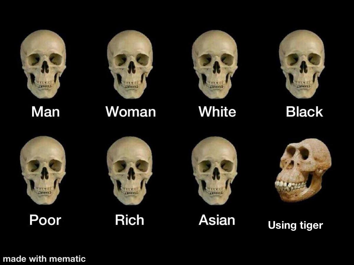 Thick skull r/warthundermemes
