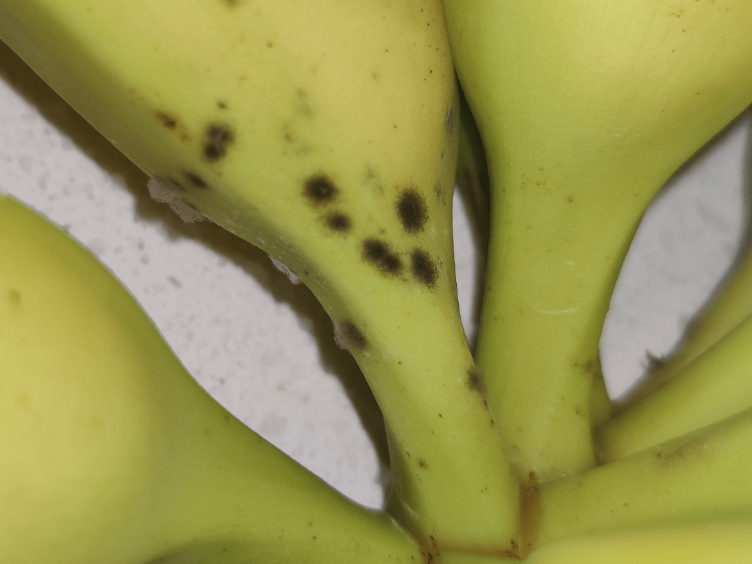 Just bought some bananas and one is different. What's wrong with my new