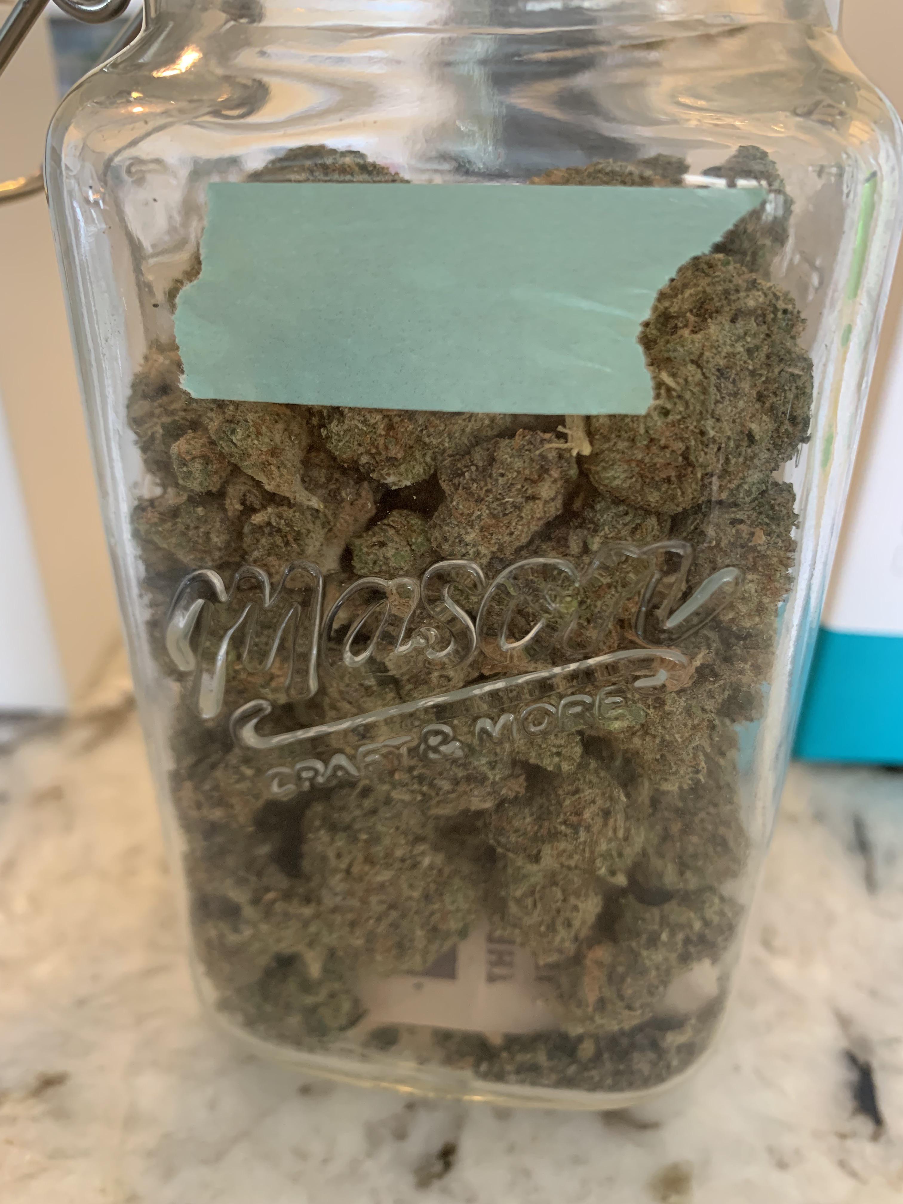 Flowers Topanga Canyon at William Winkelman blog