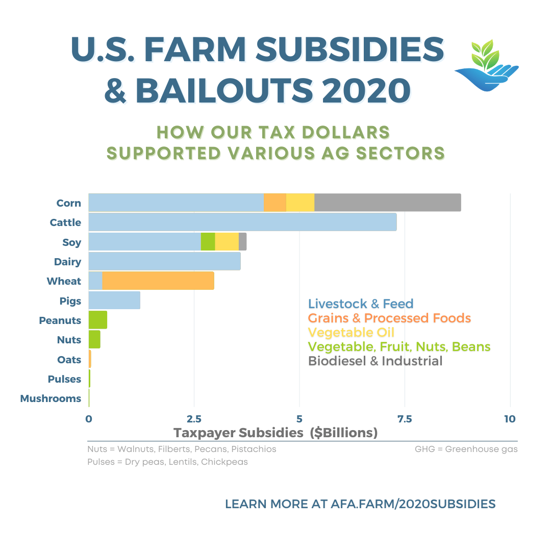 U.S. farm subsidies disproportionately favor animal feed, beef, dairy