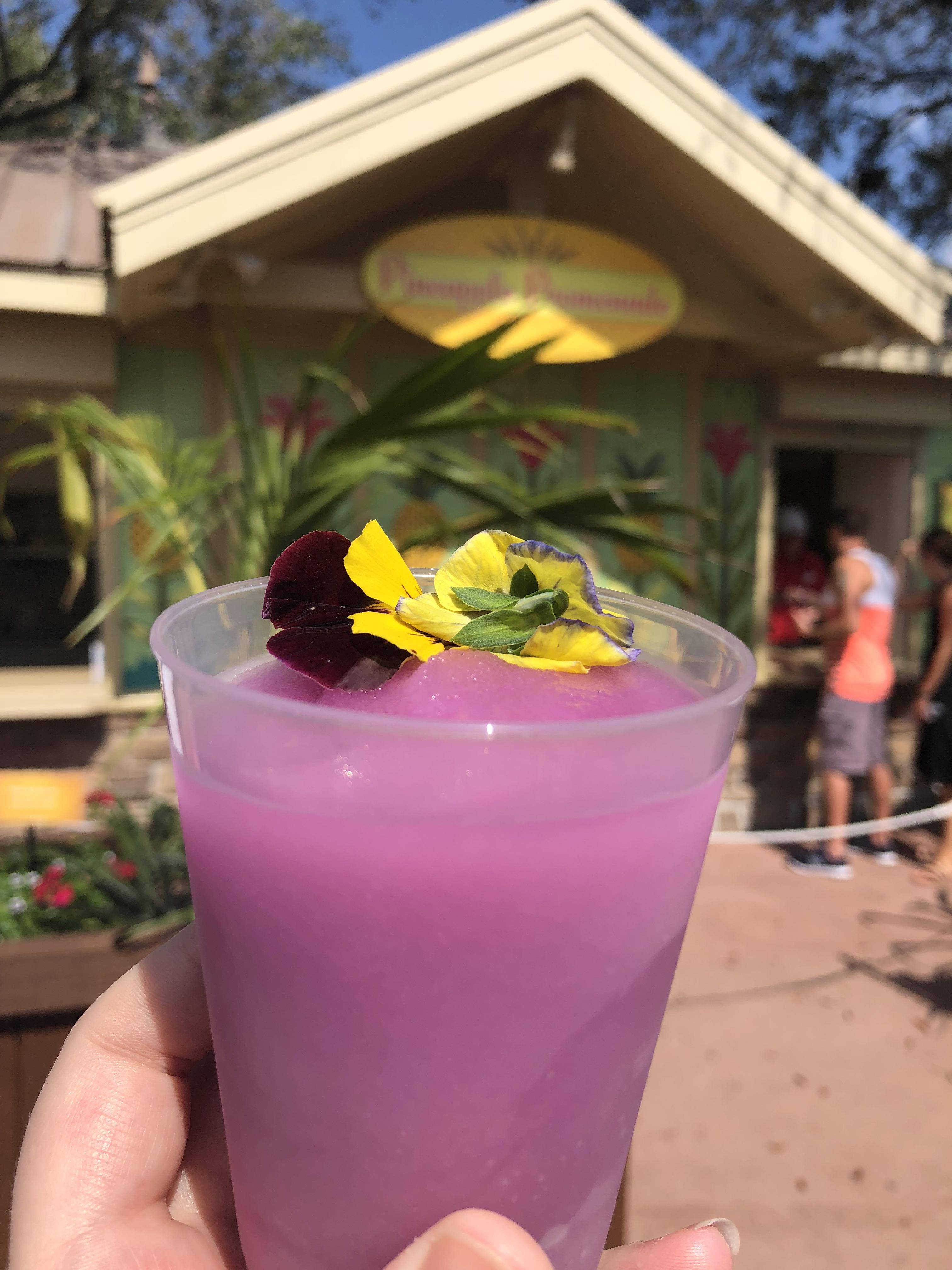 Frozen Violet Lemonade to kick off the Flower and Garden festival r