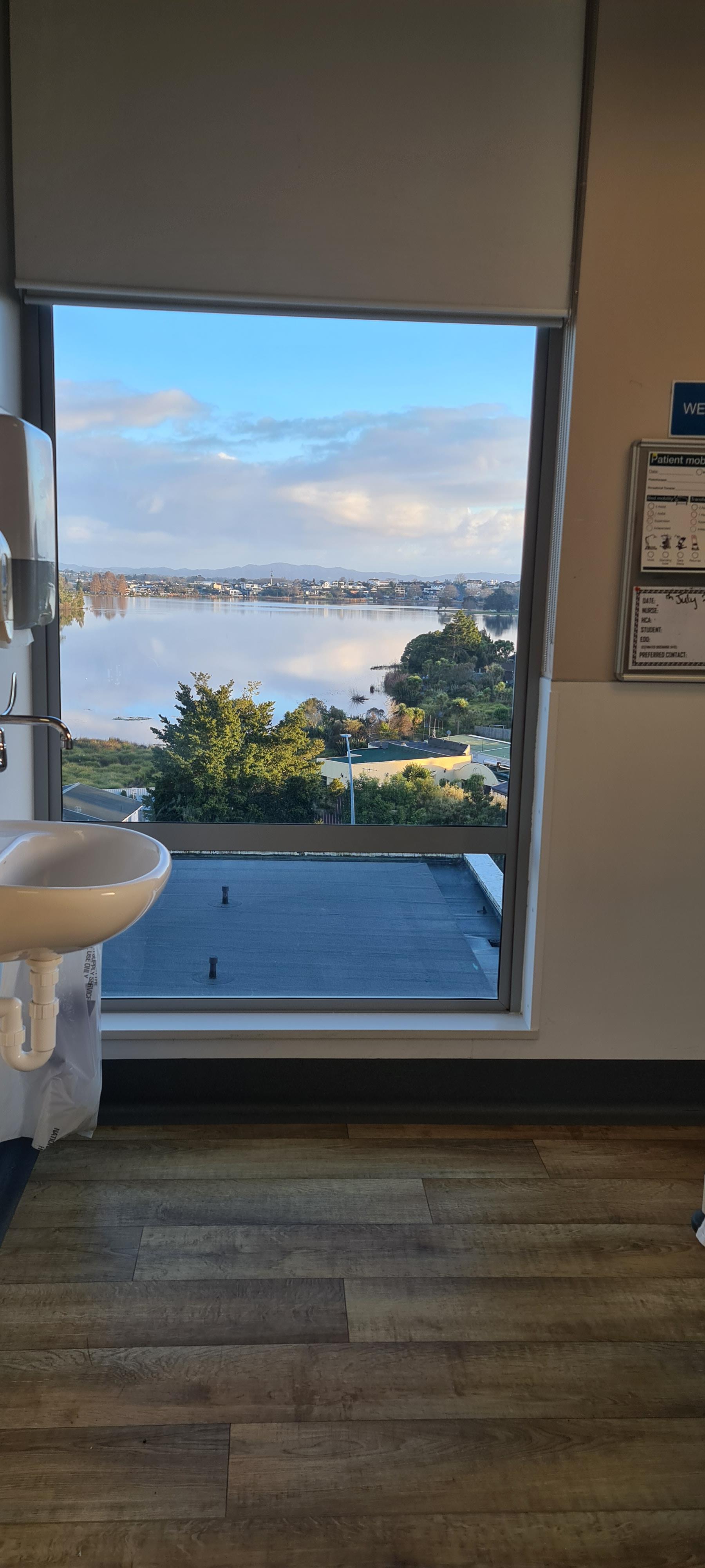 Average picture from my bed in the Waikato Hospital r/AveragePicsOfNZ
