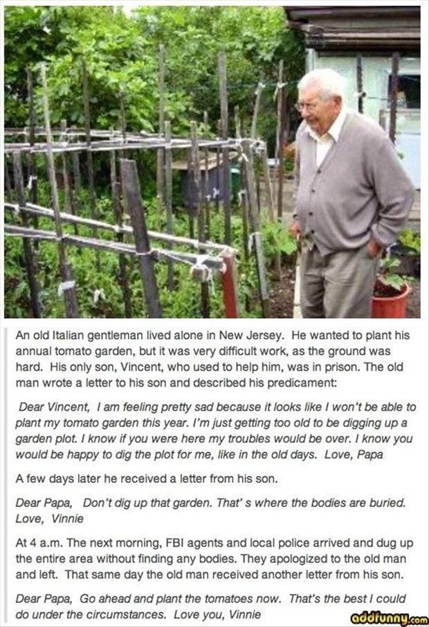 When is the best time to start a garden in NJ and when is it too late