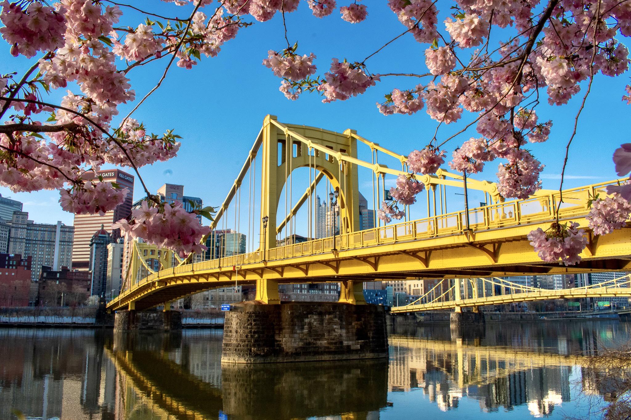 Blossom Drive Pittsburgh Pa at Maggie Banks blog