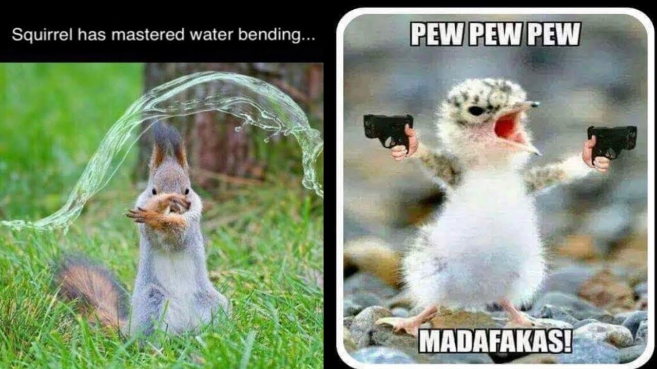 Can waterbending stop this! r/memes