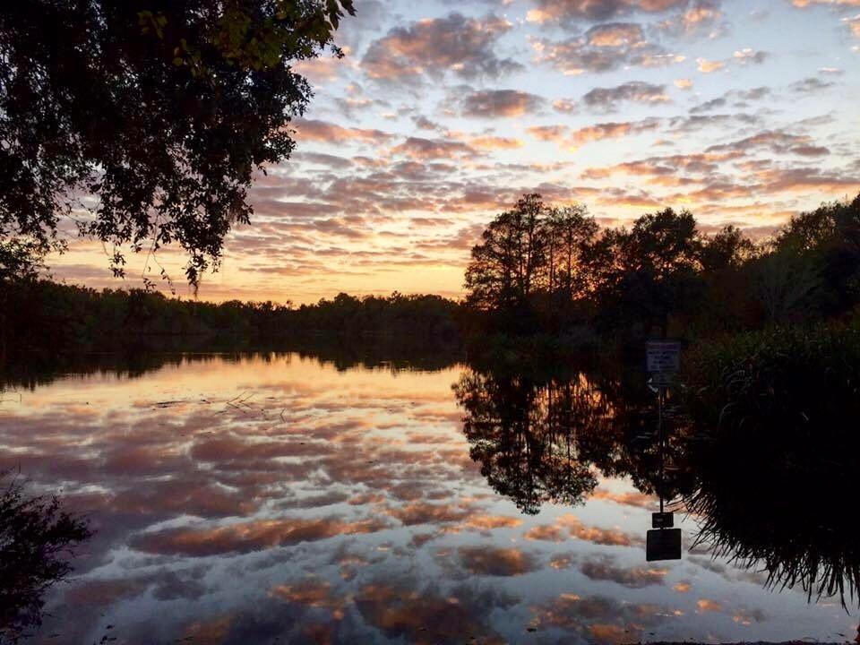 Lake Alice Sunset (this won me a few photography competitions since I took it 😁) r/ufl