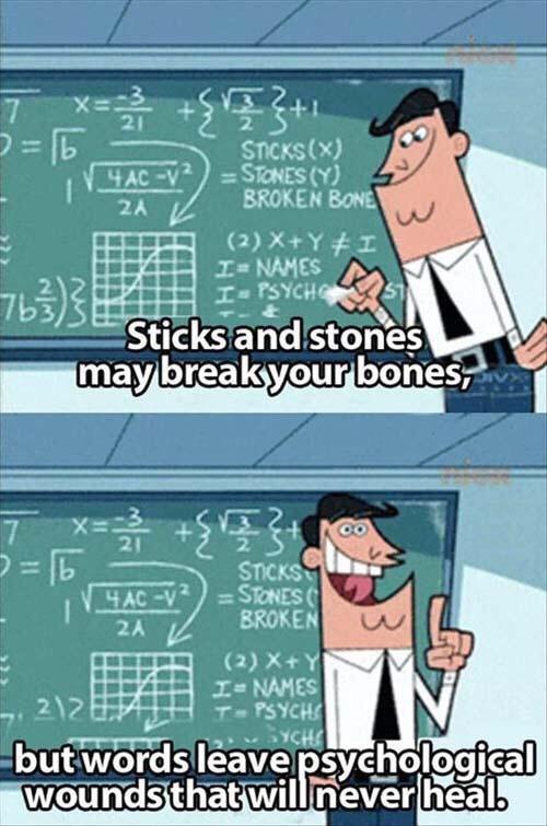 Sticks and stones r/memes