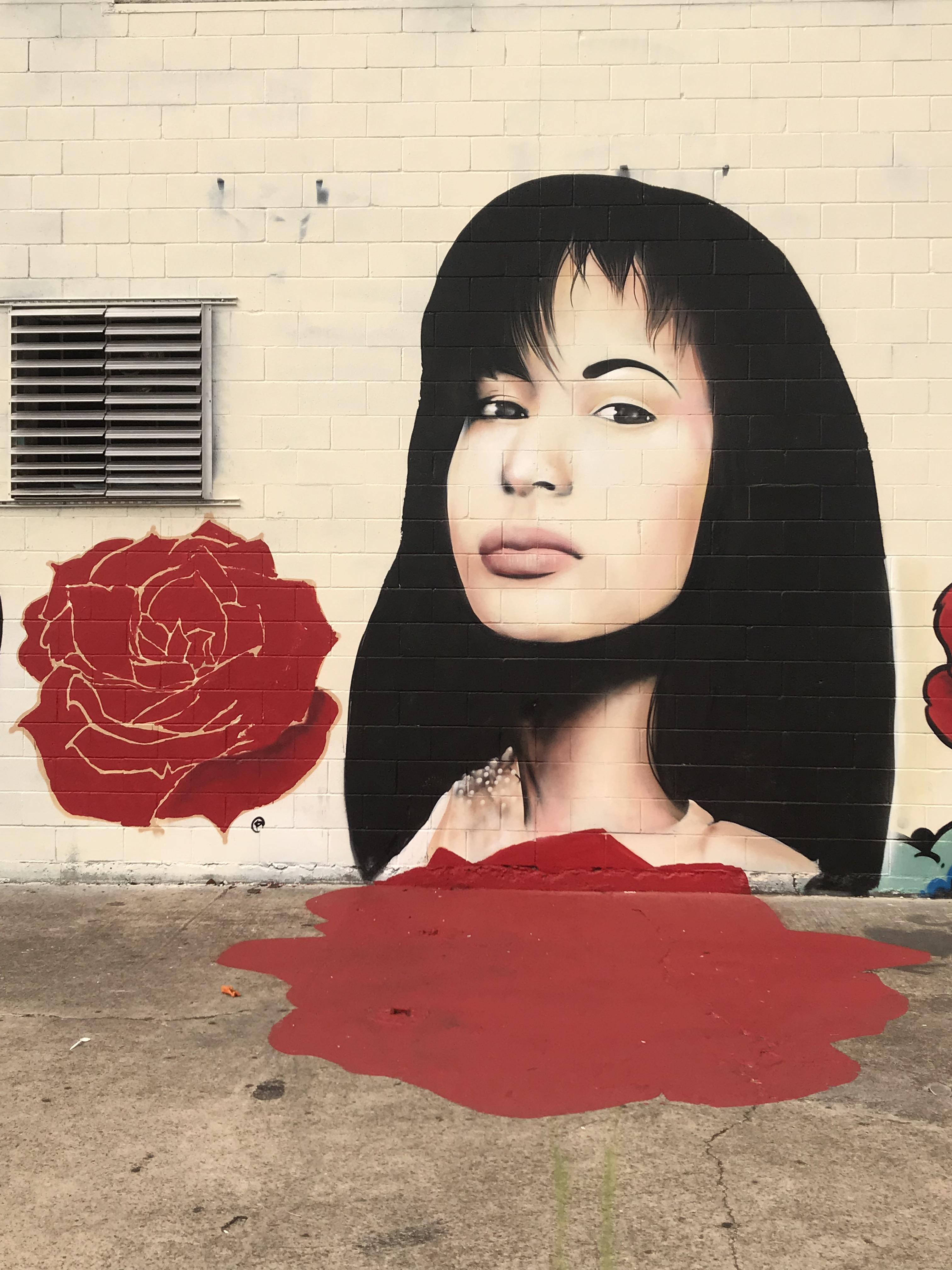 Selena Houston, Texas r/streetart
