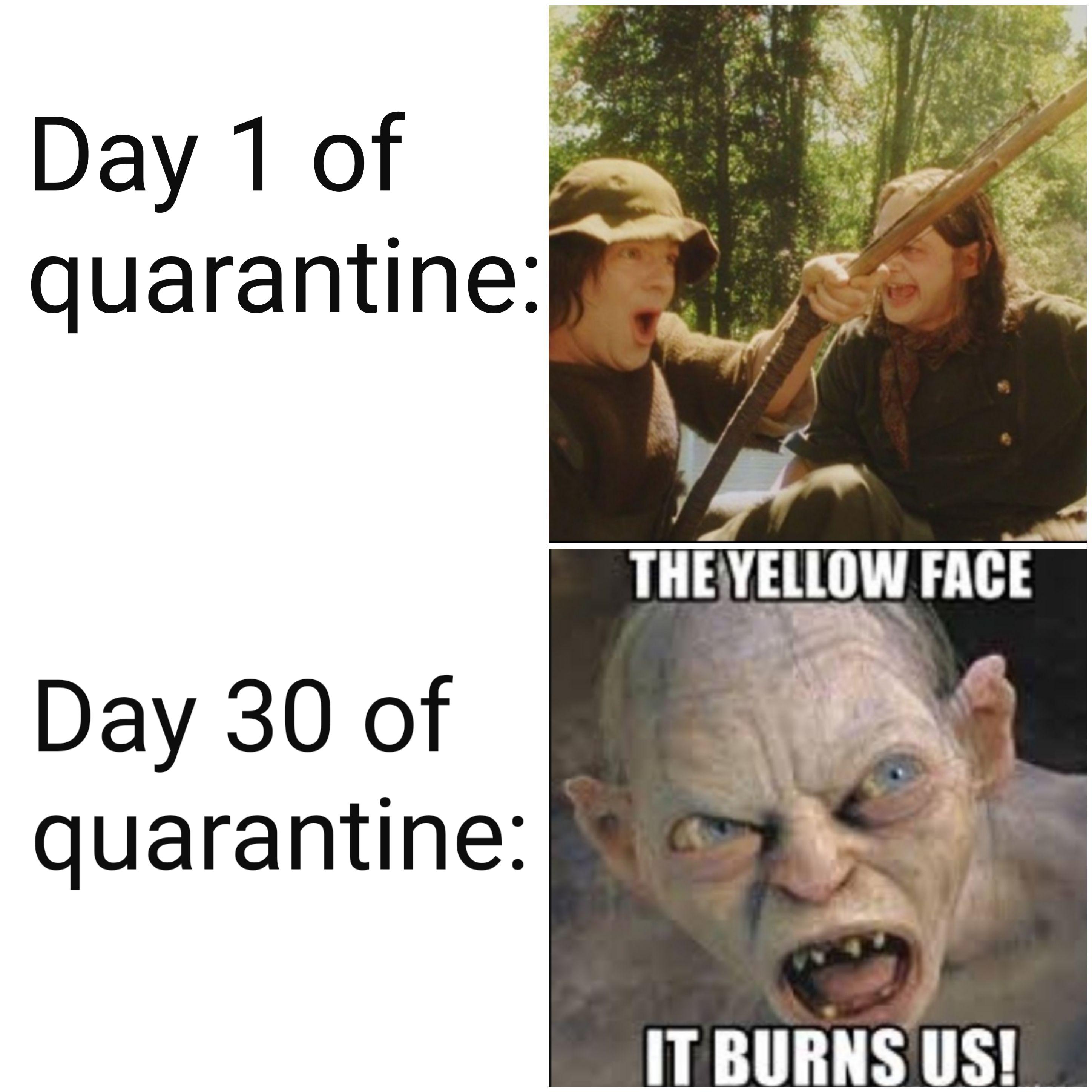 Yellow face r/lotrmemes