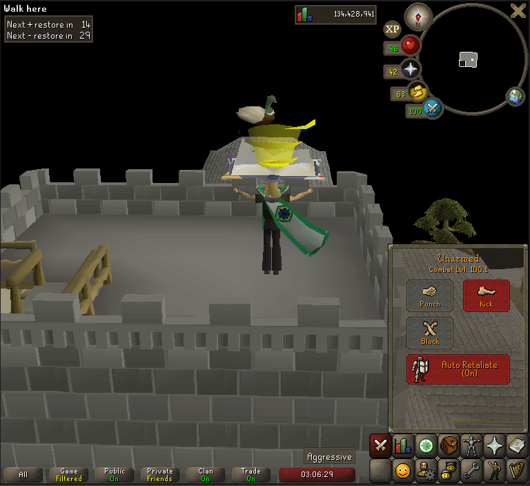 After obtaining a Quest Cape at 85 combat, I set myself a new goal. Today I finally achieved it