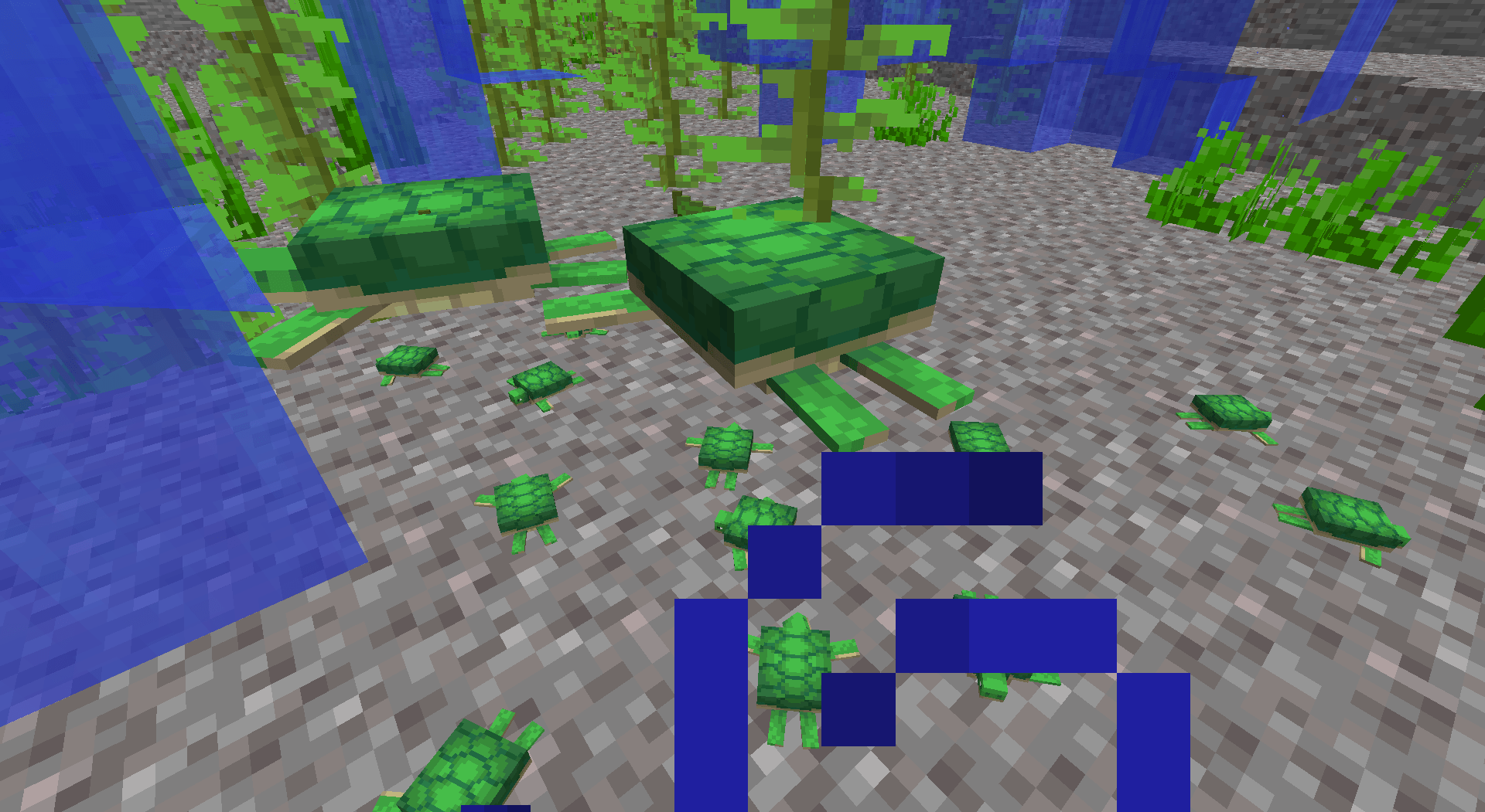 Look at the Baby Turtles