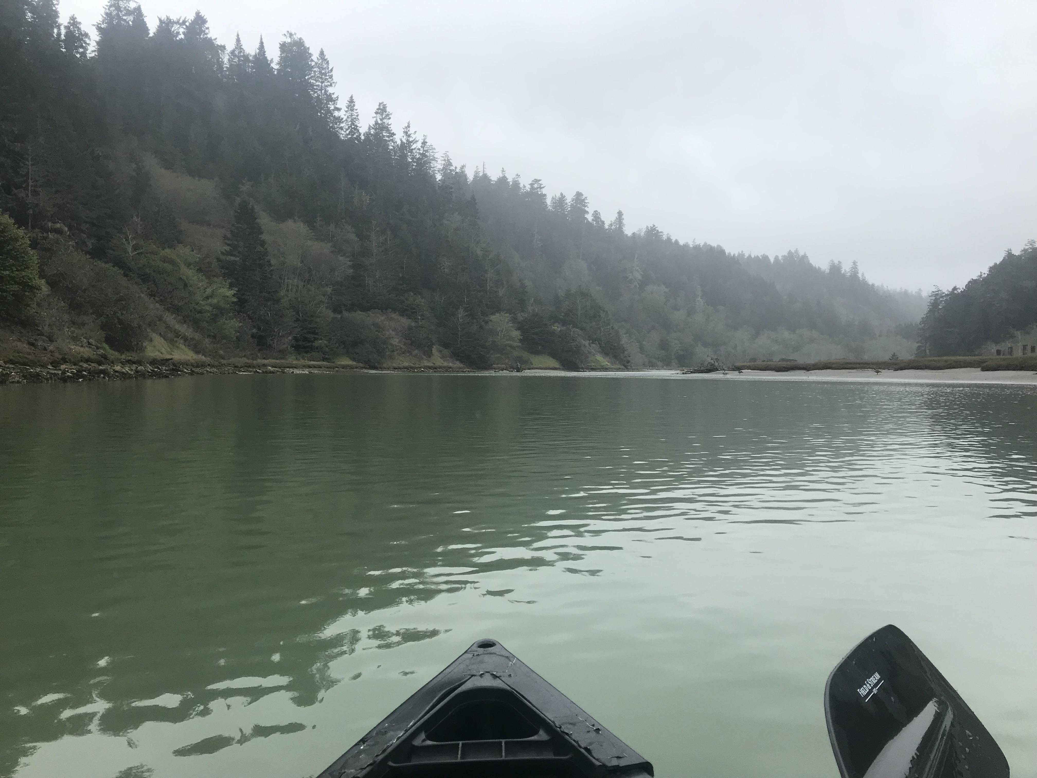 Nothing like those Redwoods. Big River, Mendocino CA r/canoewithaview