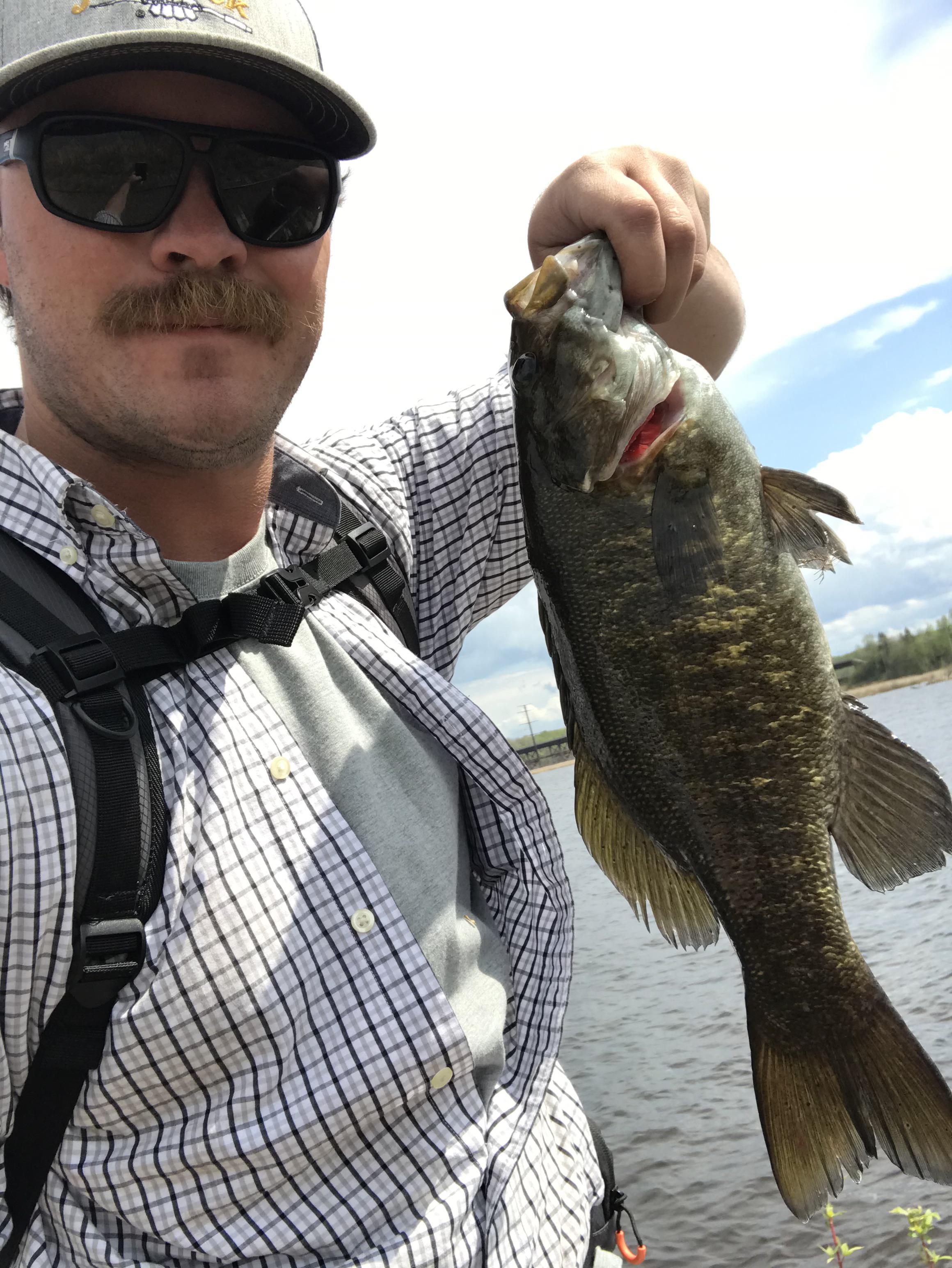 First river smallie of the year. St.Louis river, Duluth MN. Northland