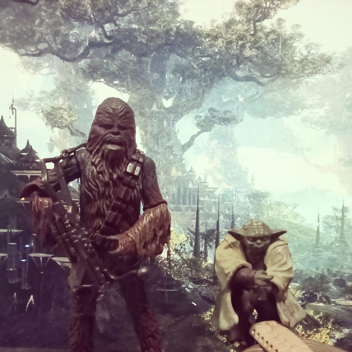 Kashyyyk Yoda And Chewbacca