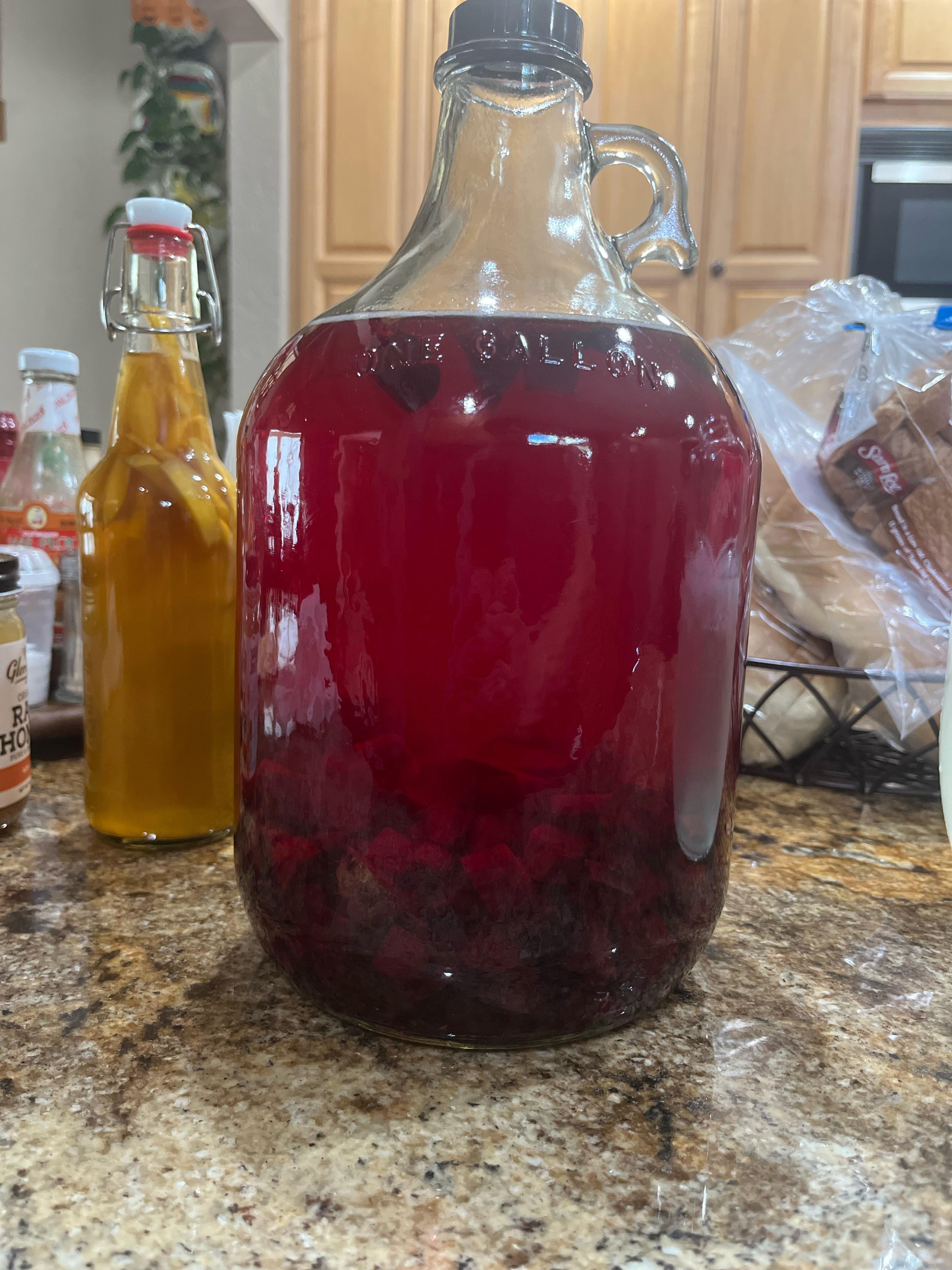SemiSweet Beet Kvass fermentation