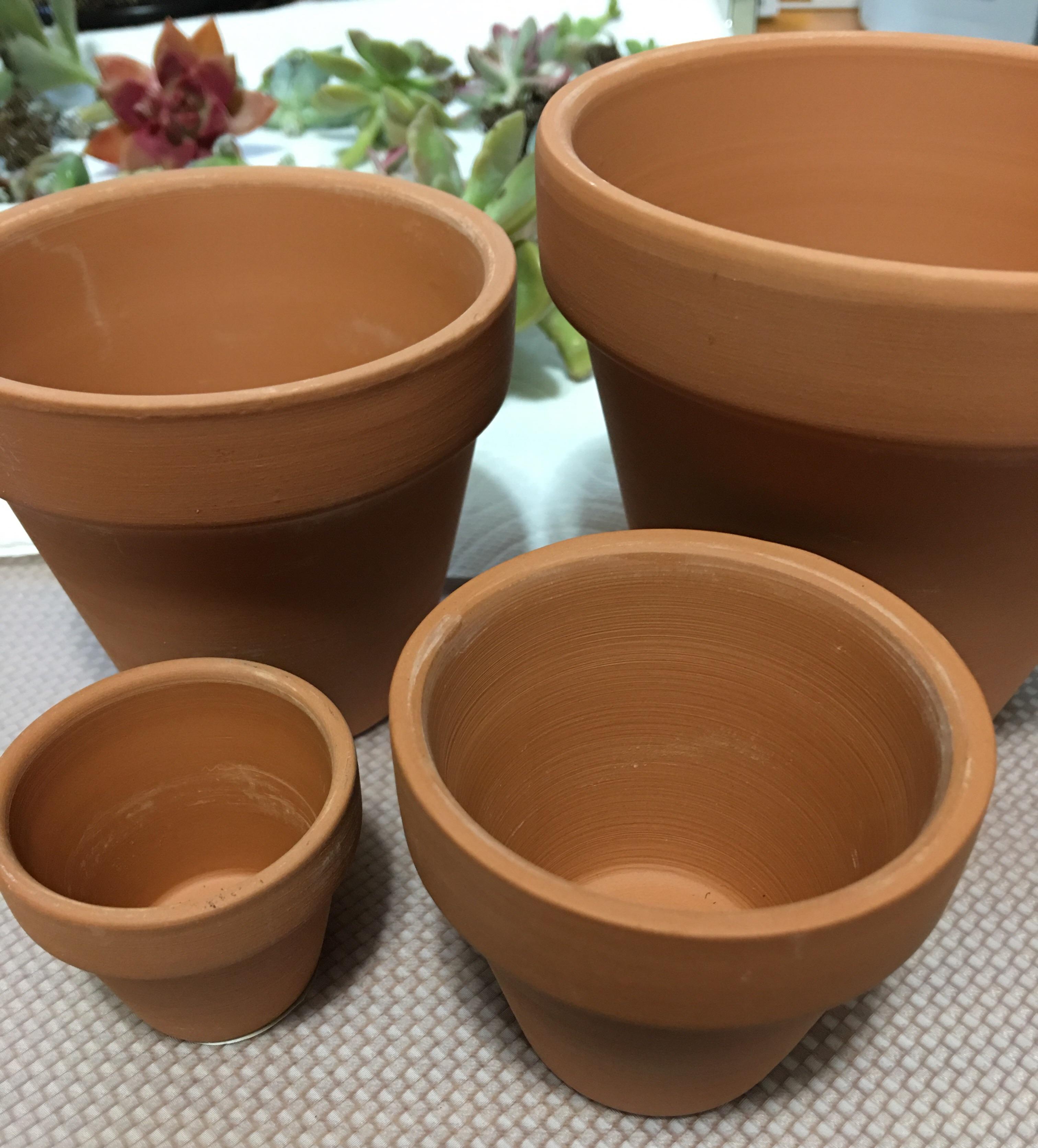 Where do you buy your terra cotta pots? Looking for a good source (and