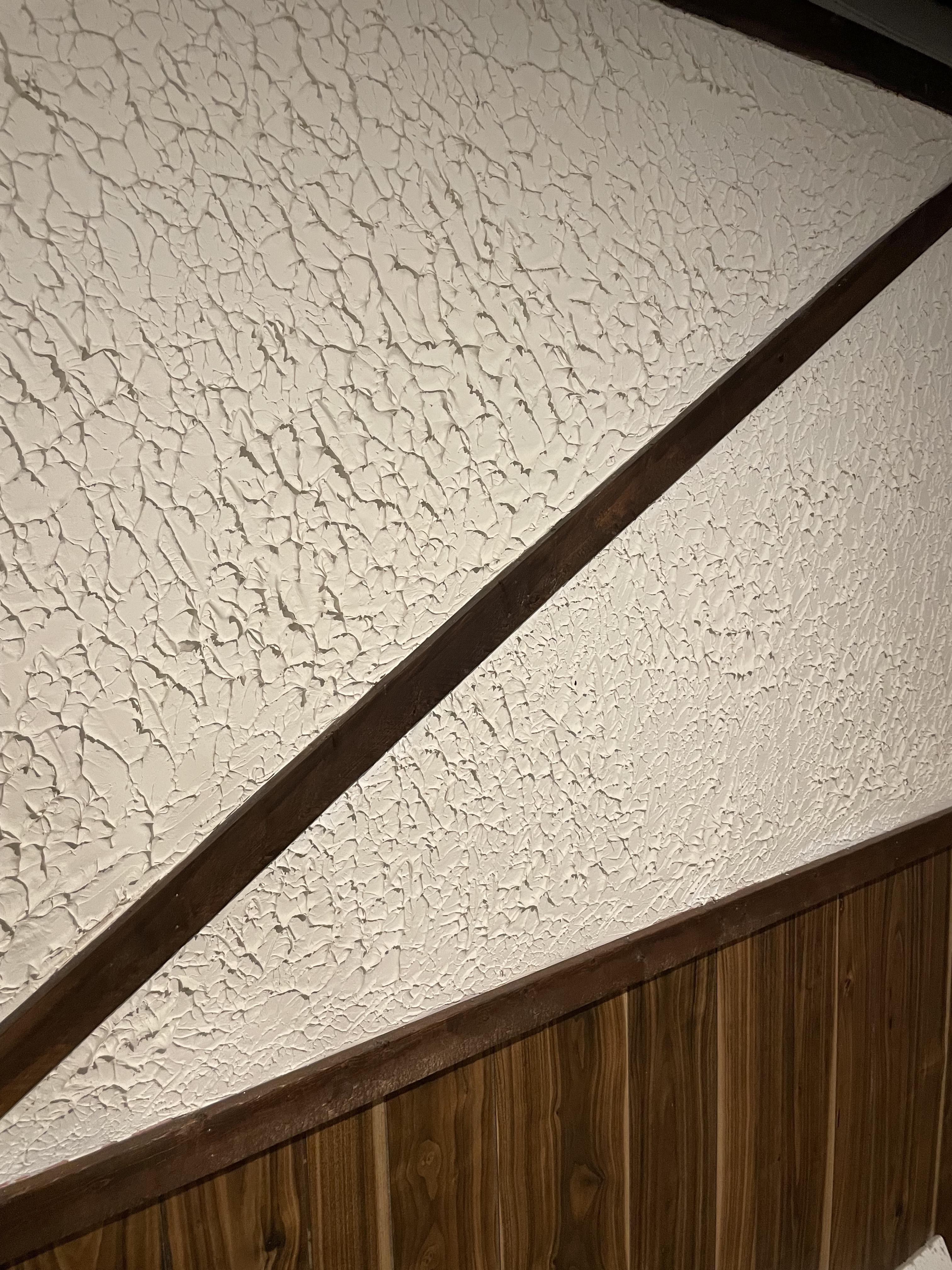 Getting ready to demo some basement walls and they have thick plaster