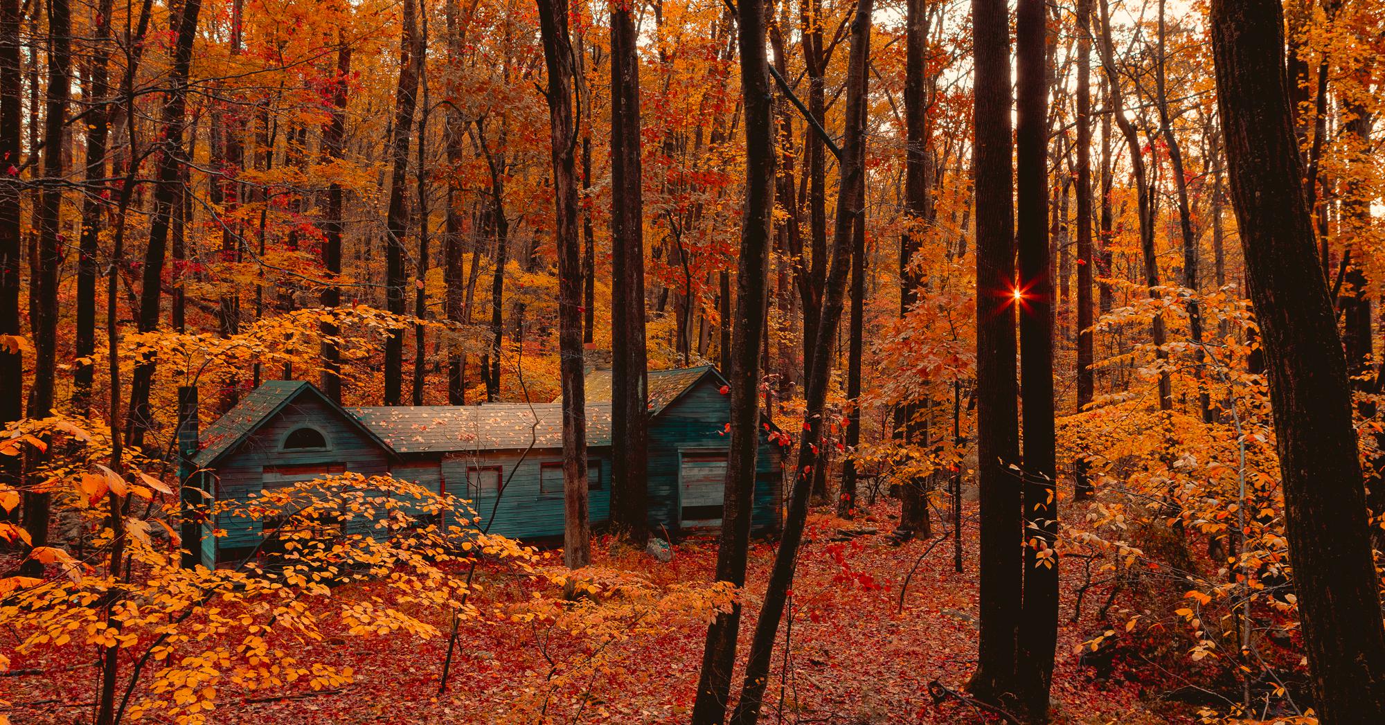 ITAP of an abandoned cabin in rural New Jersey r/itookapicture